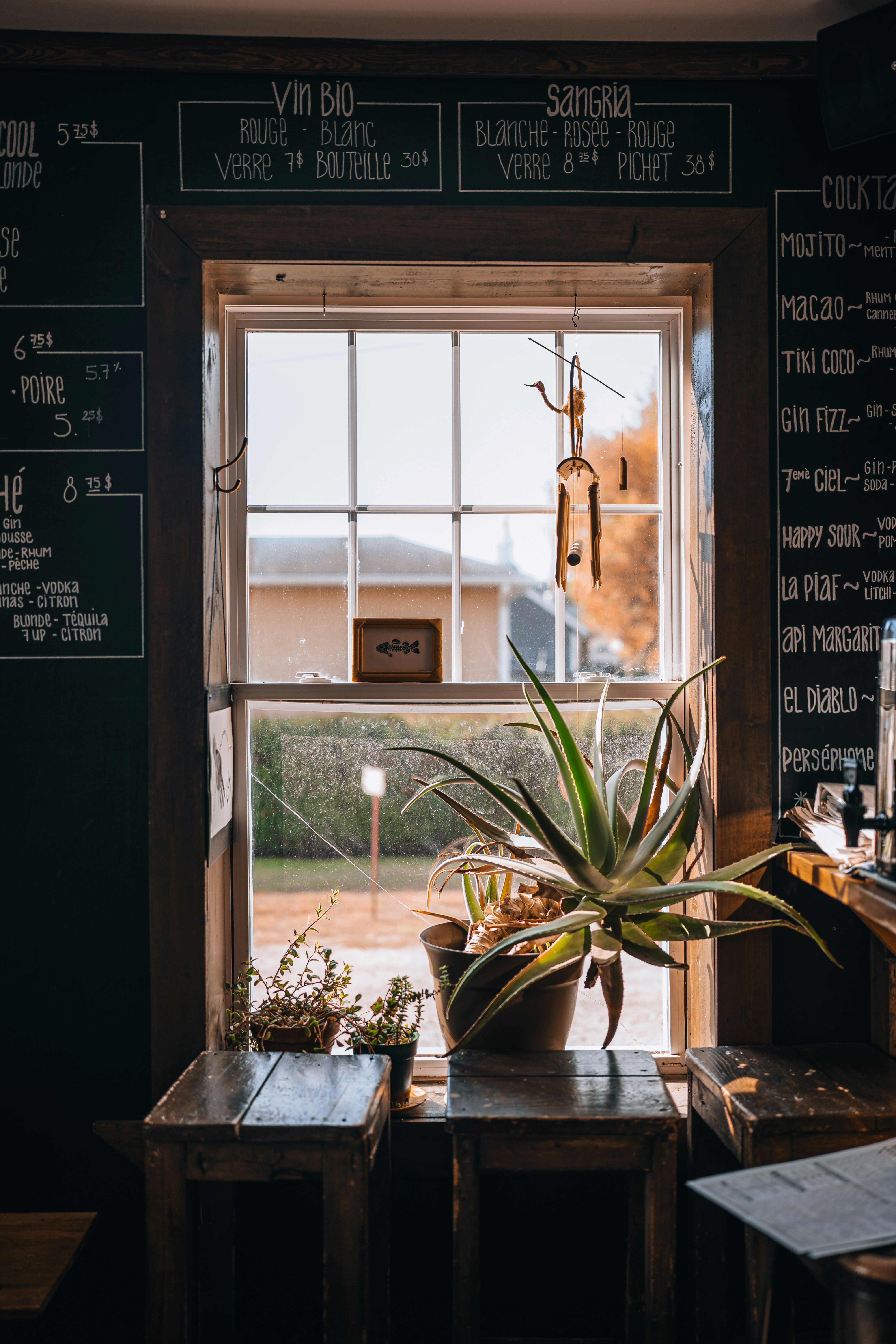 Photo by benjamin_photo_lab