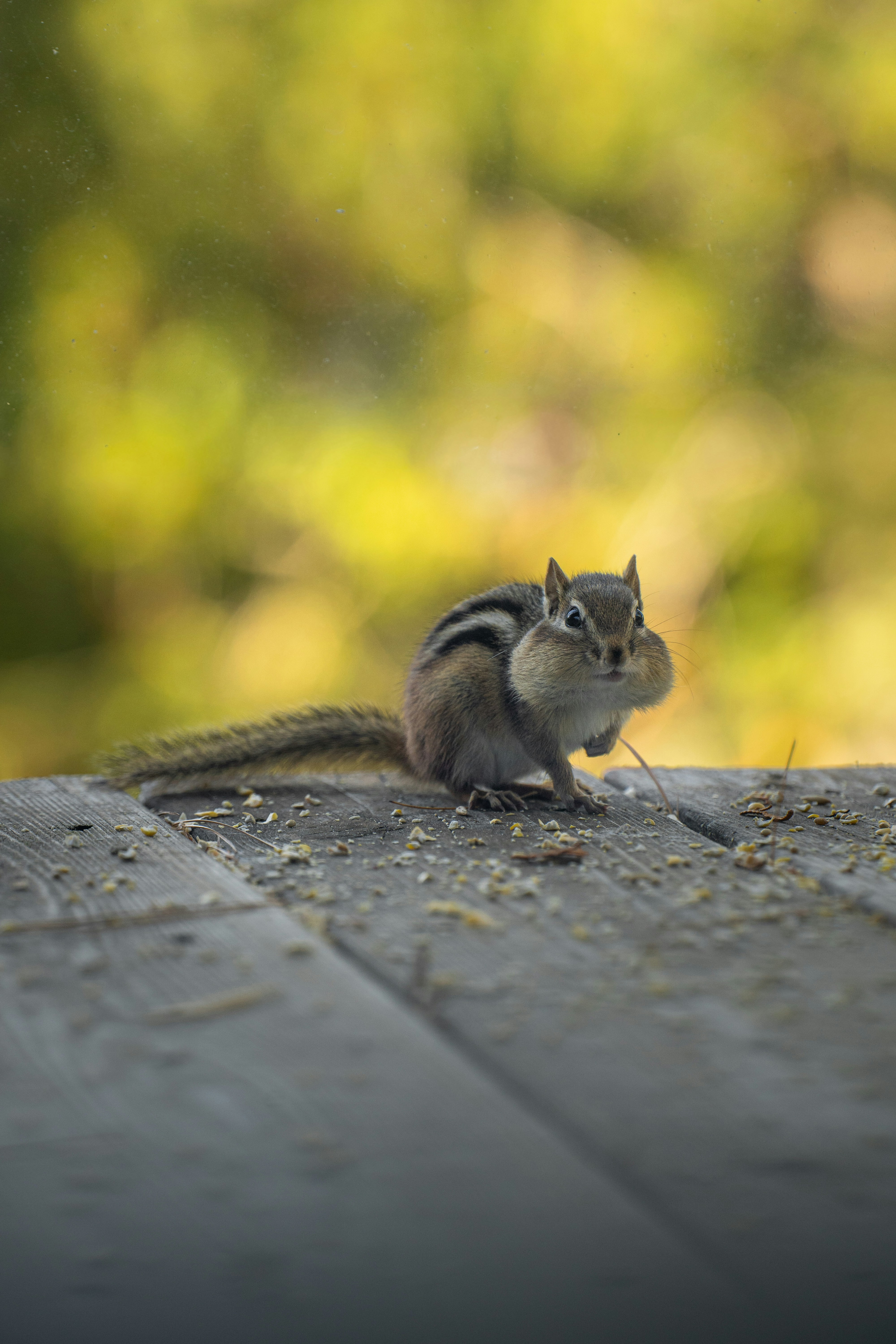 Photo by benjamin_photo_lab