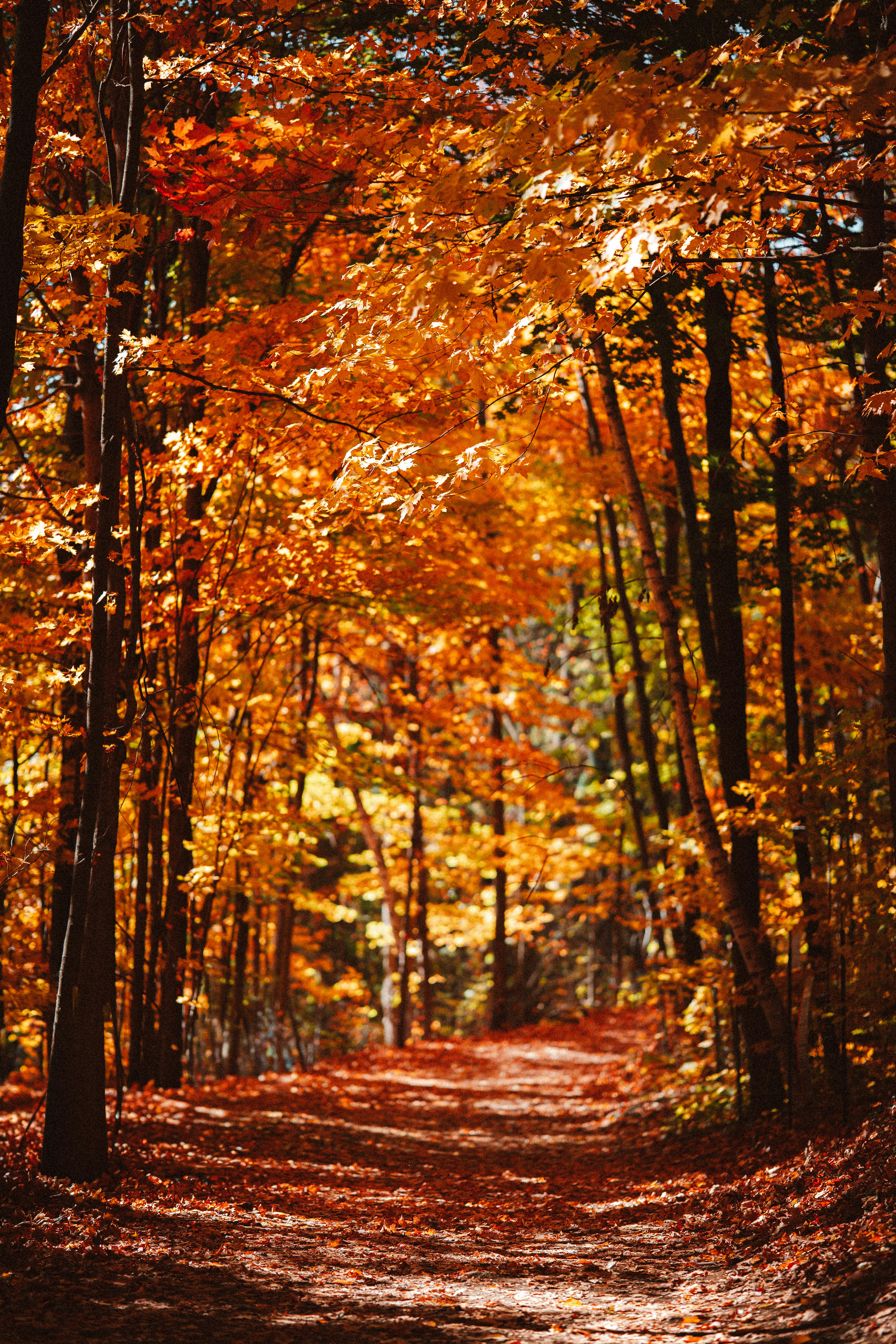 Photo by benjamin_photo_lab