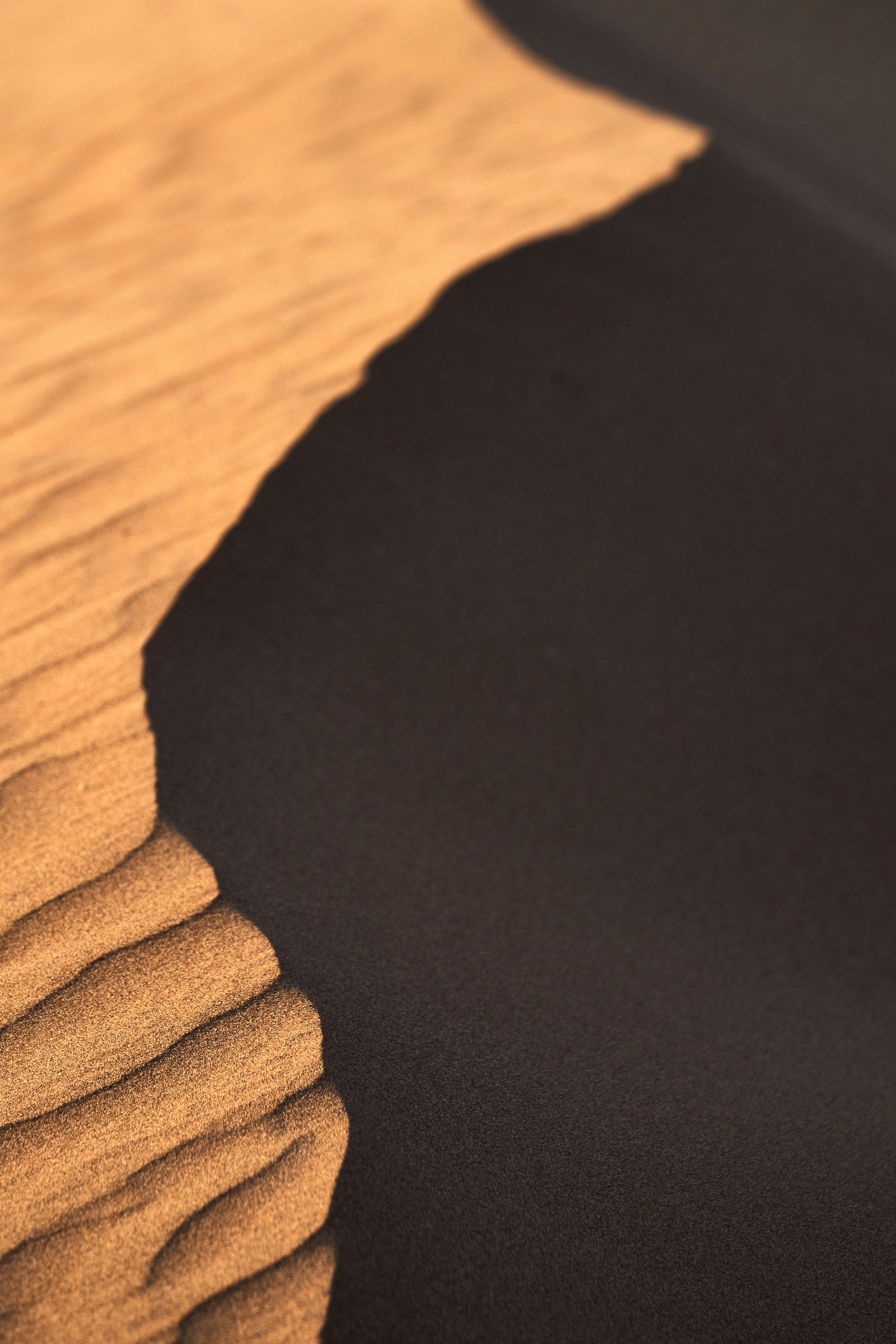 Rippled sand dune casting a long shadow