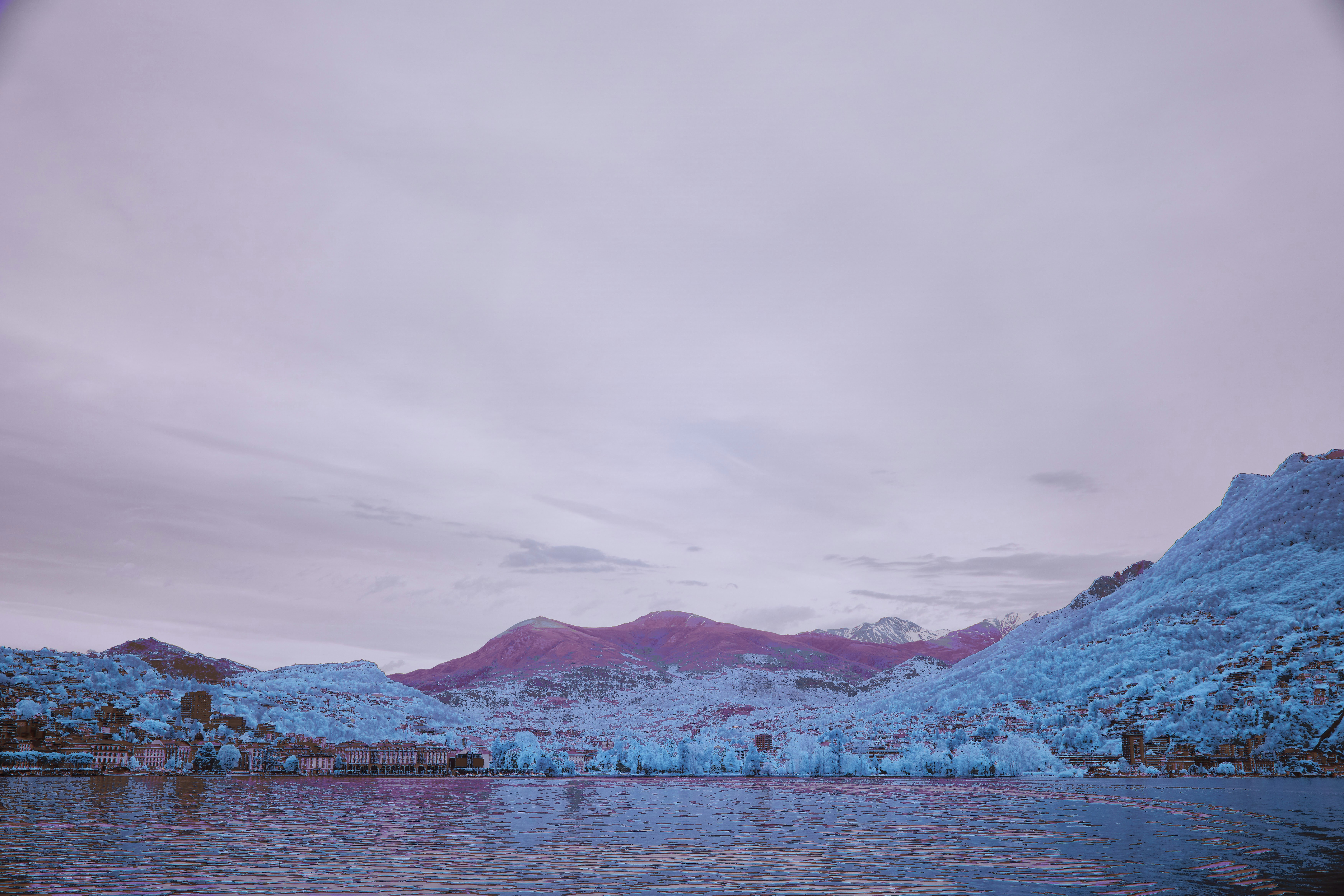 Photo by wolfgang_hasselmann