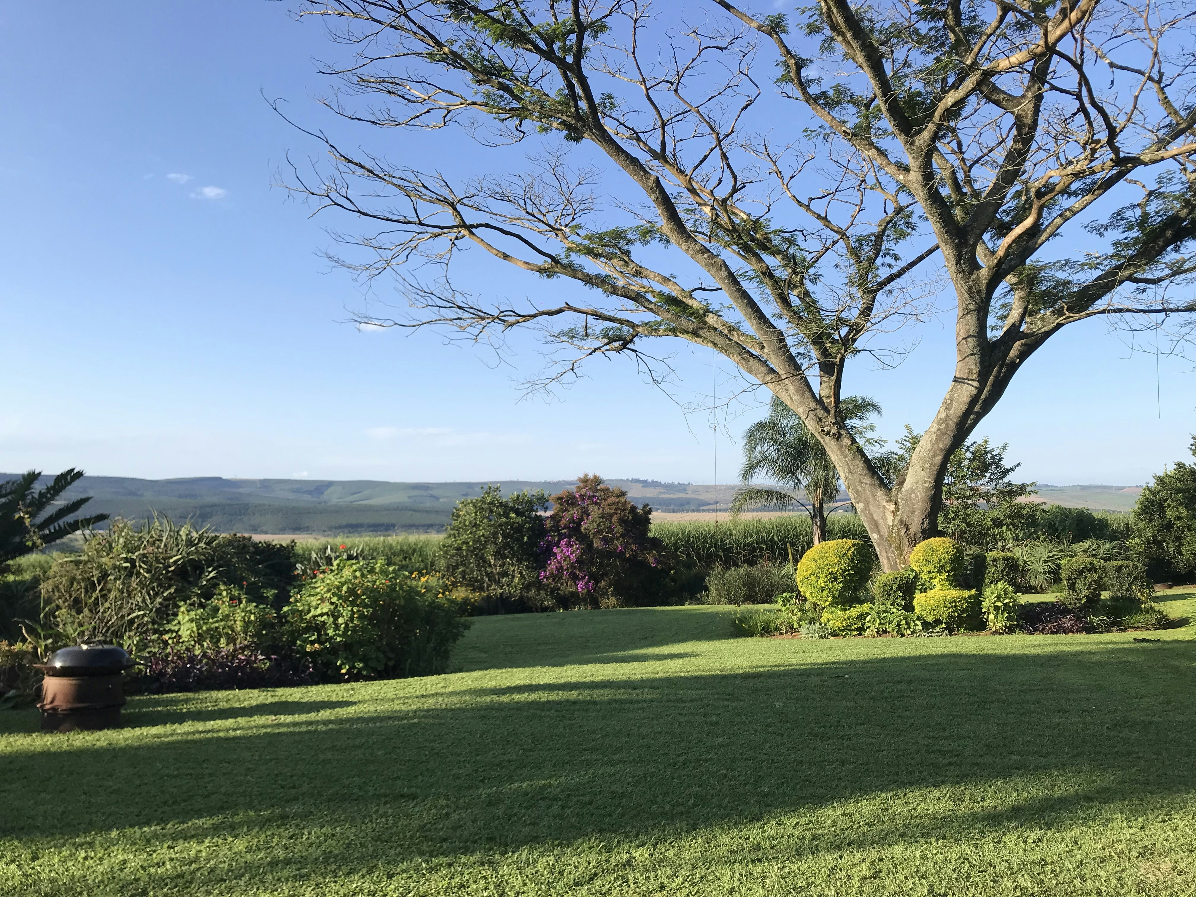 Complete garden property maintenance