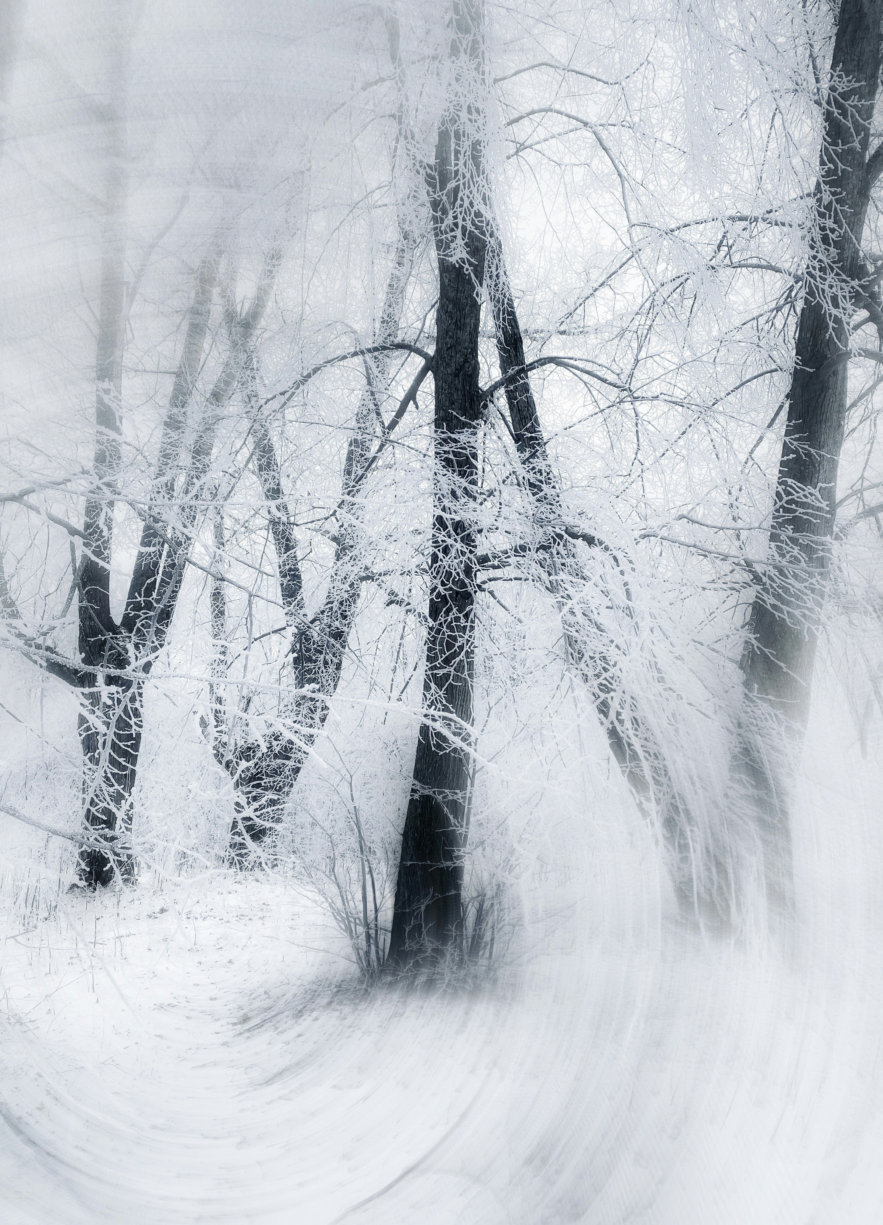 Photo by eugene_golovesov