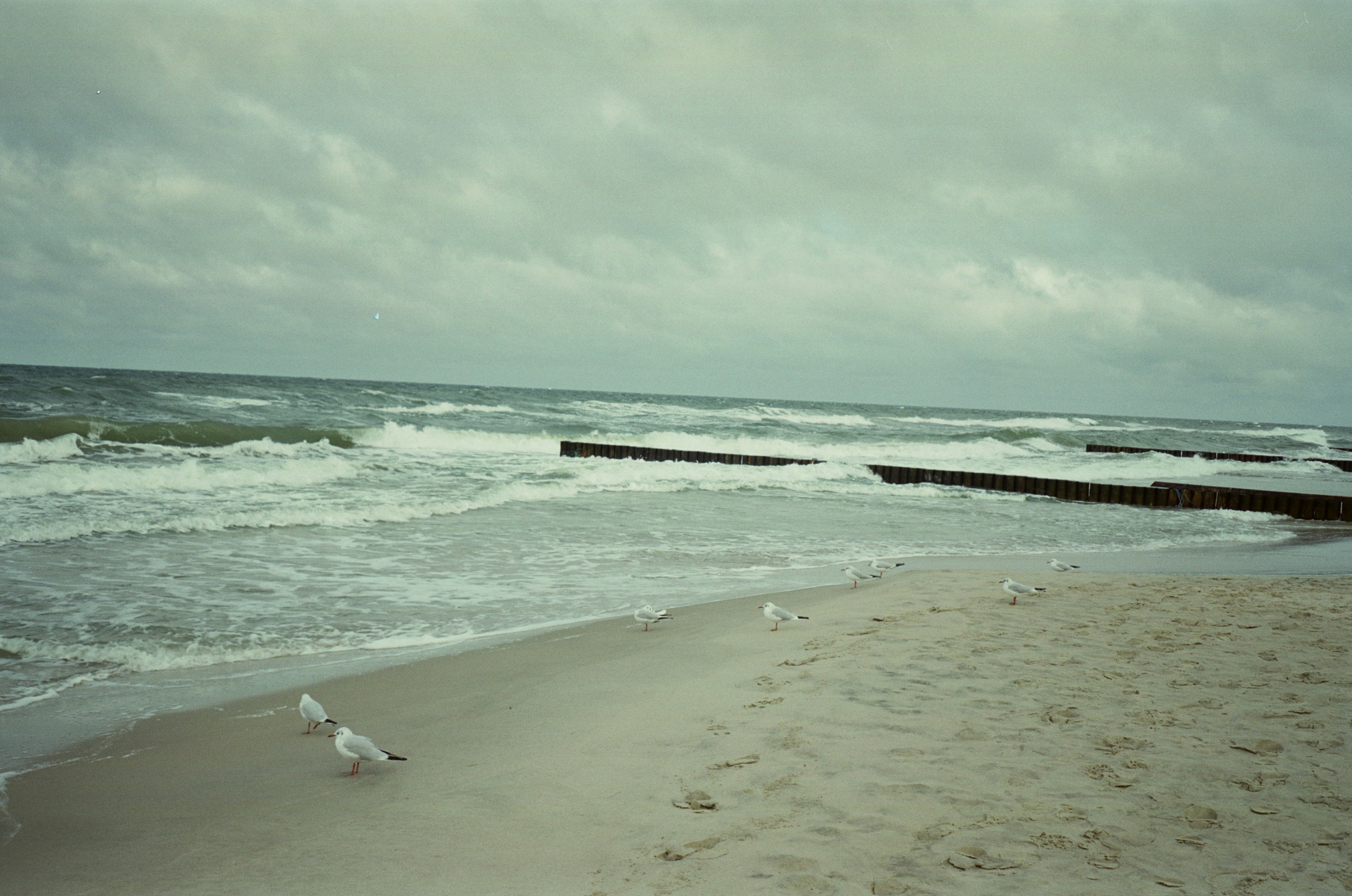 Photo by kirikuchi