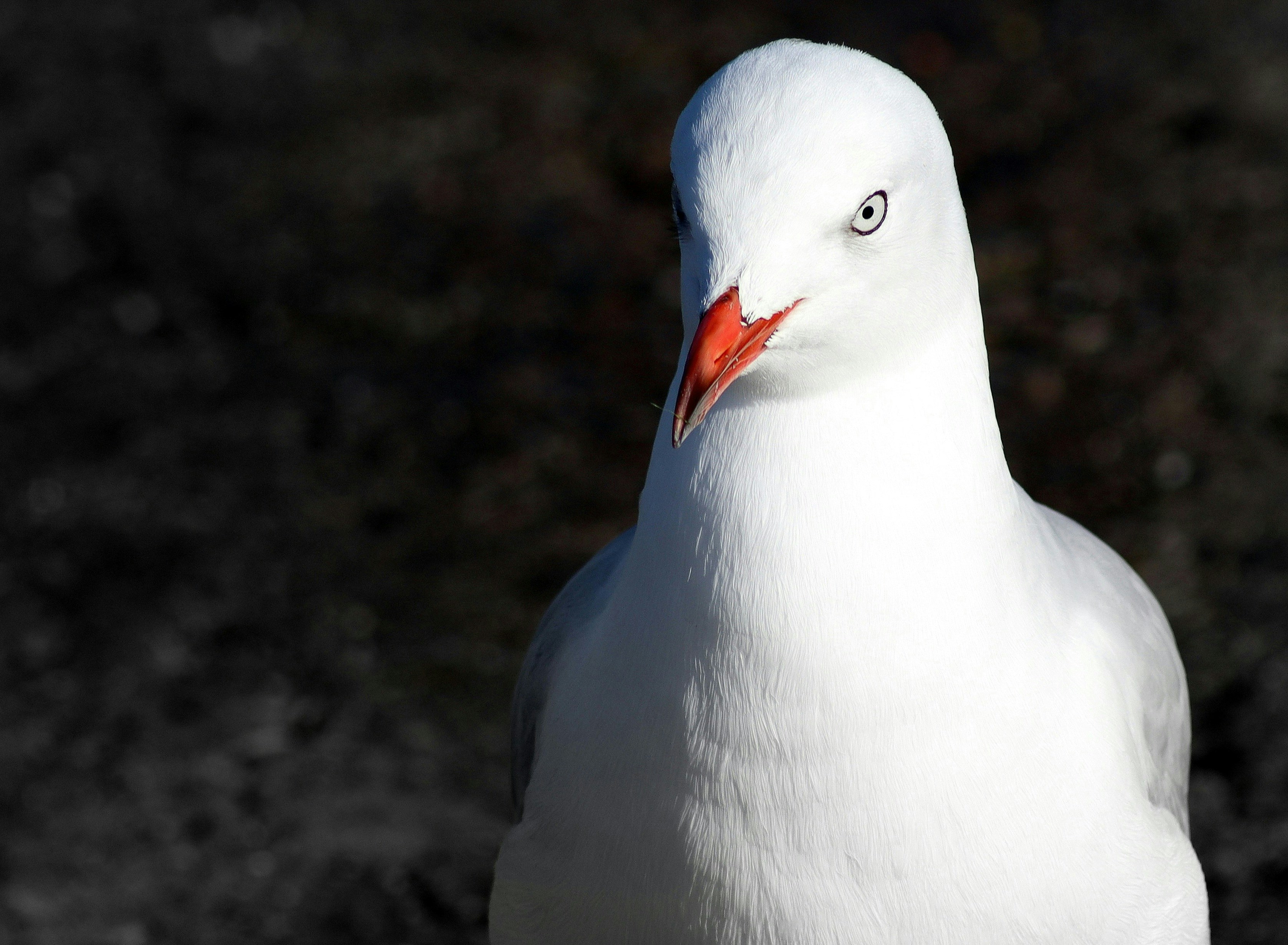 Photo by craigmanners_com