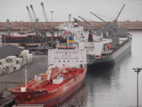 Cargo ships docked at a busy industrial port.