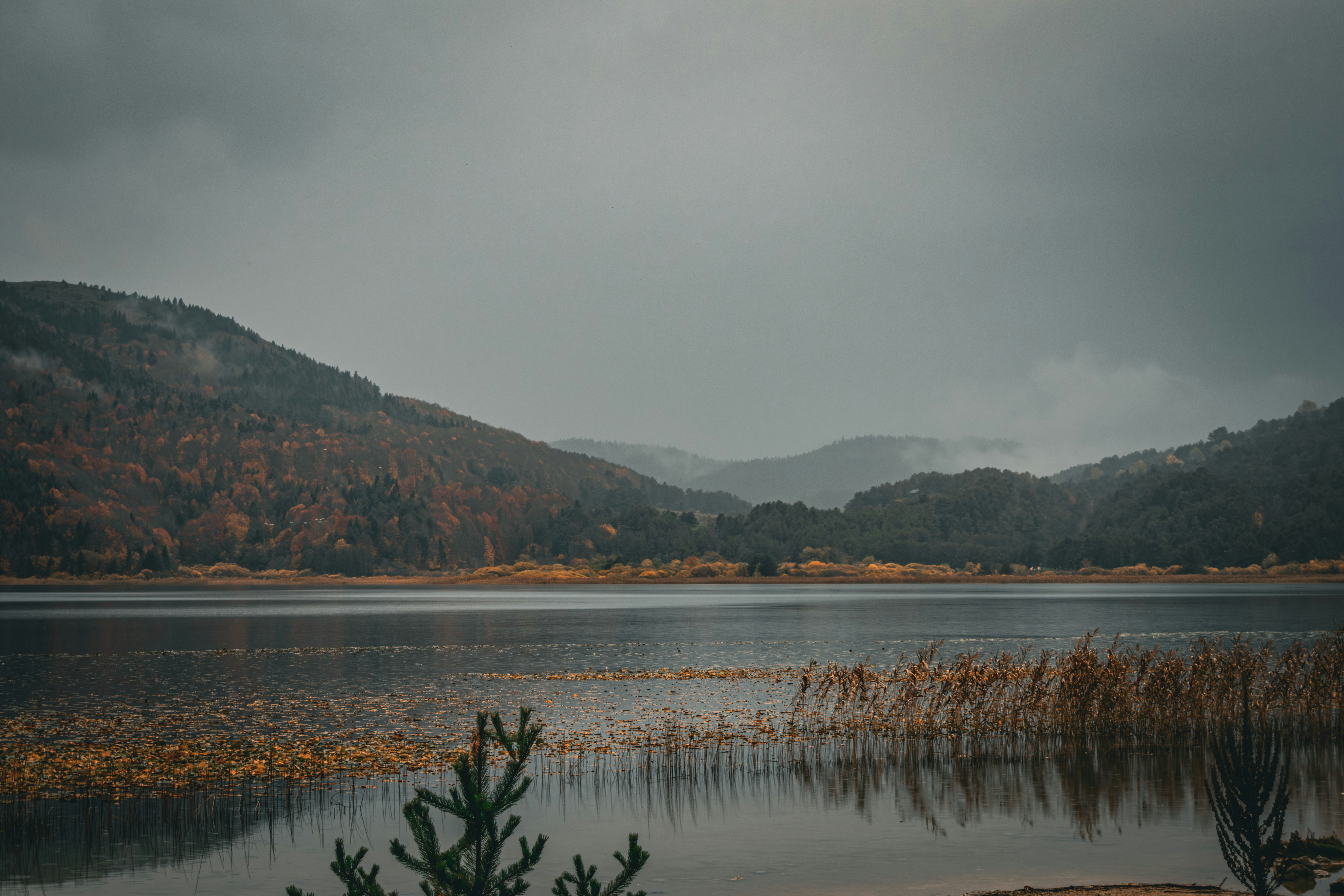 Photo by furkandurmus