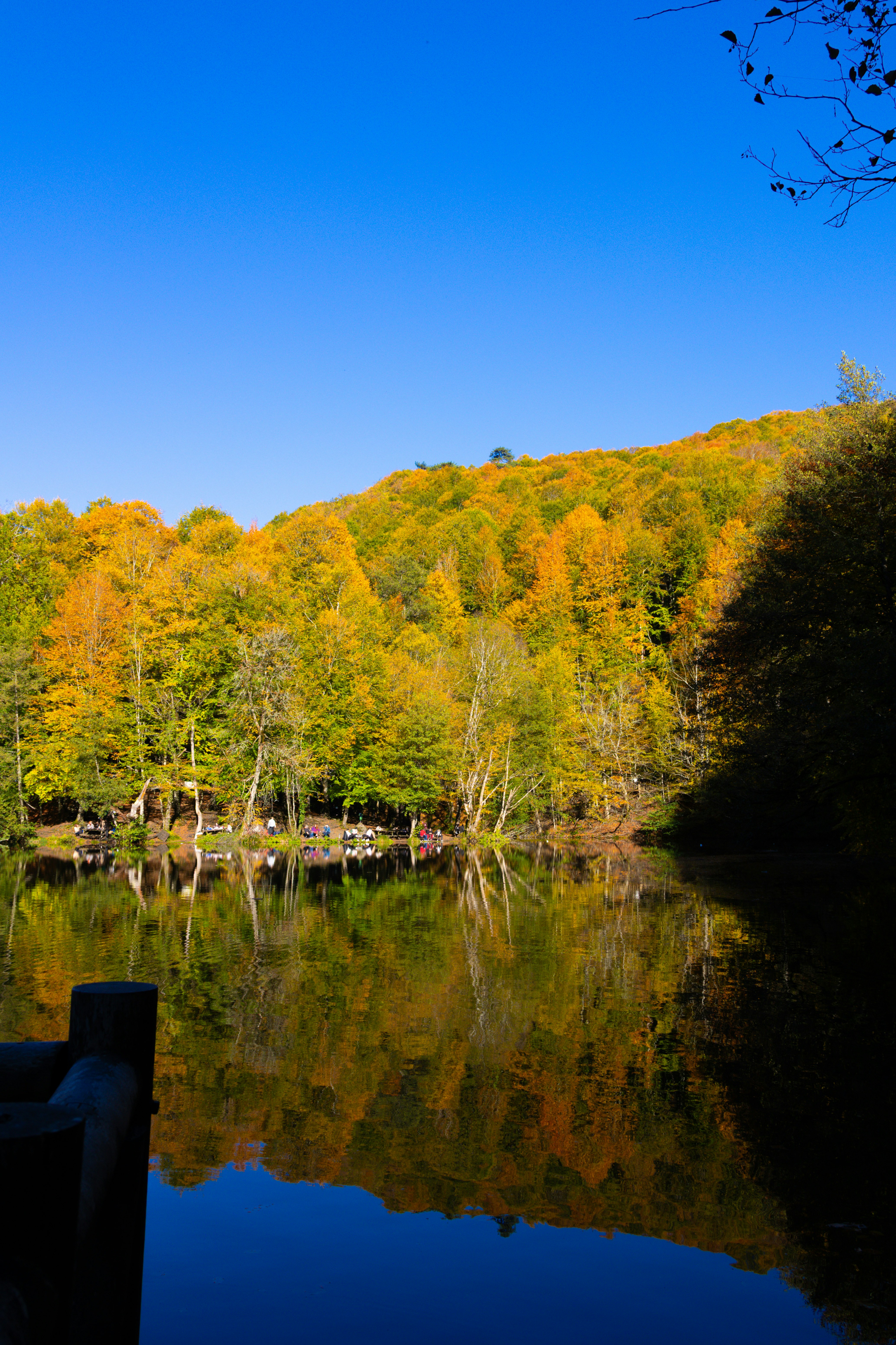 Photo by furkandurmus