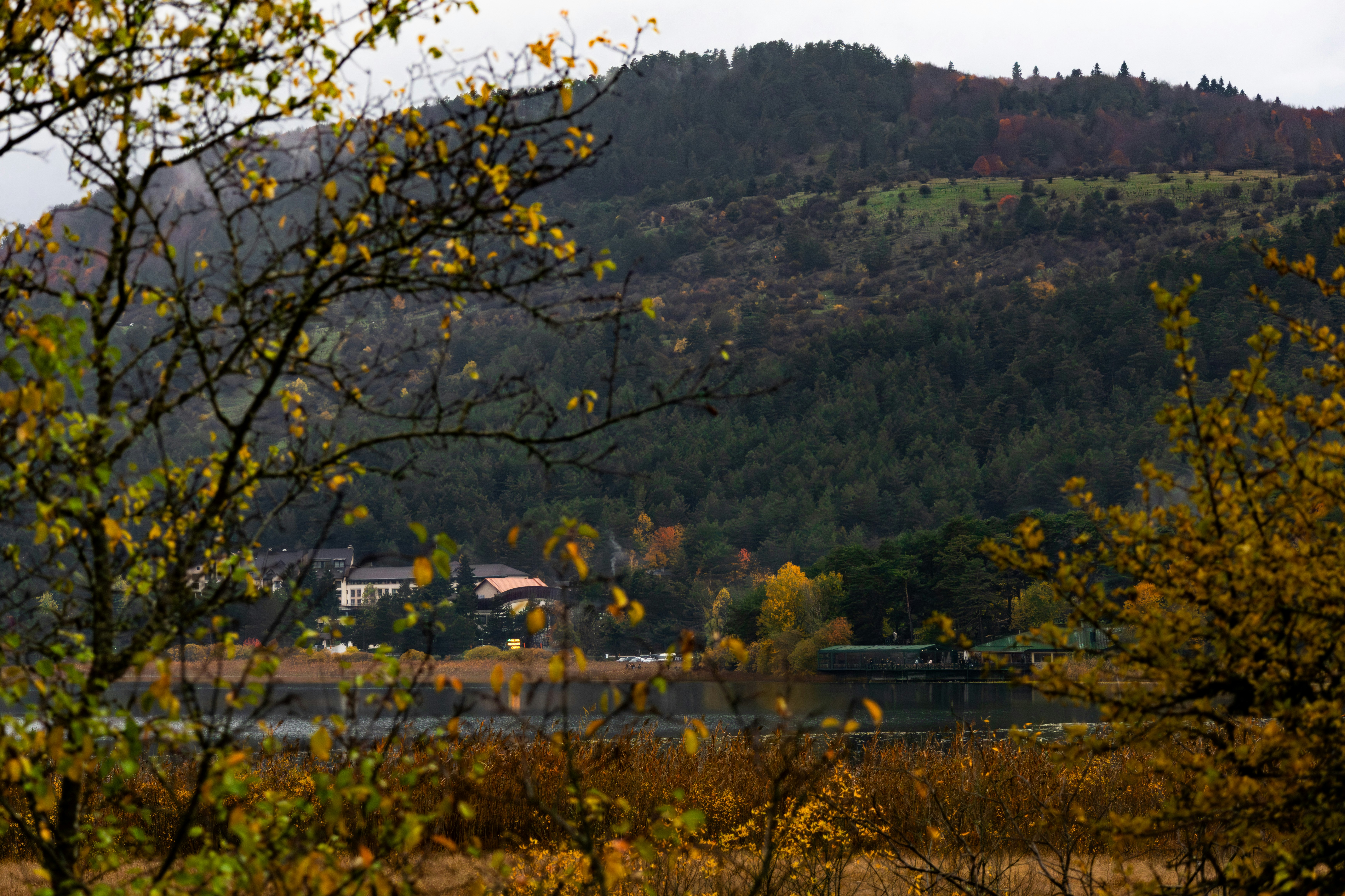 Photo by furkandurmus