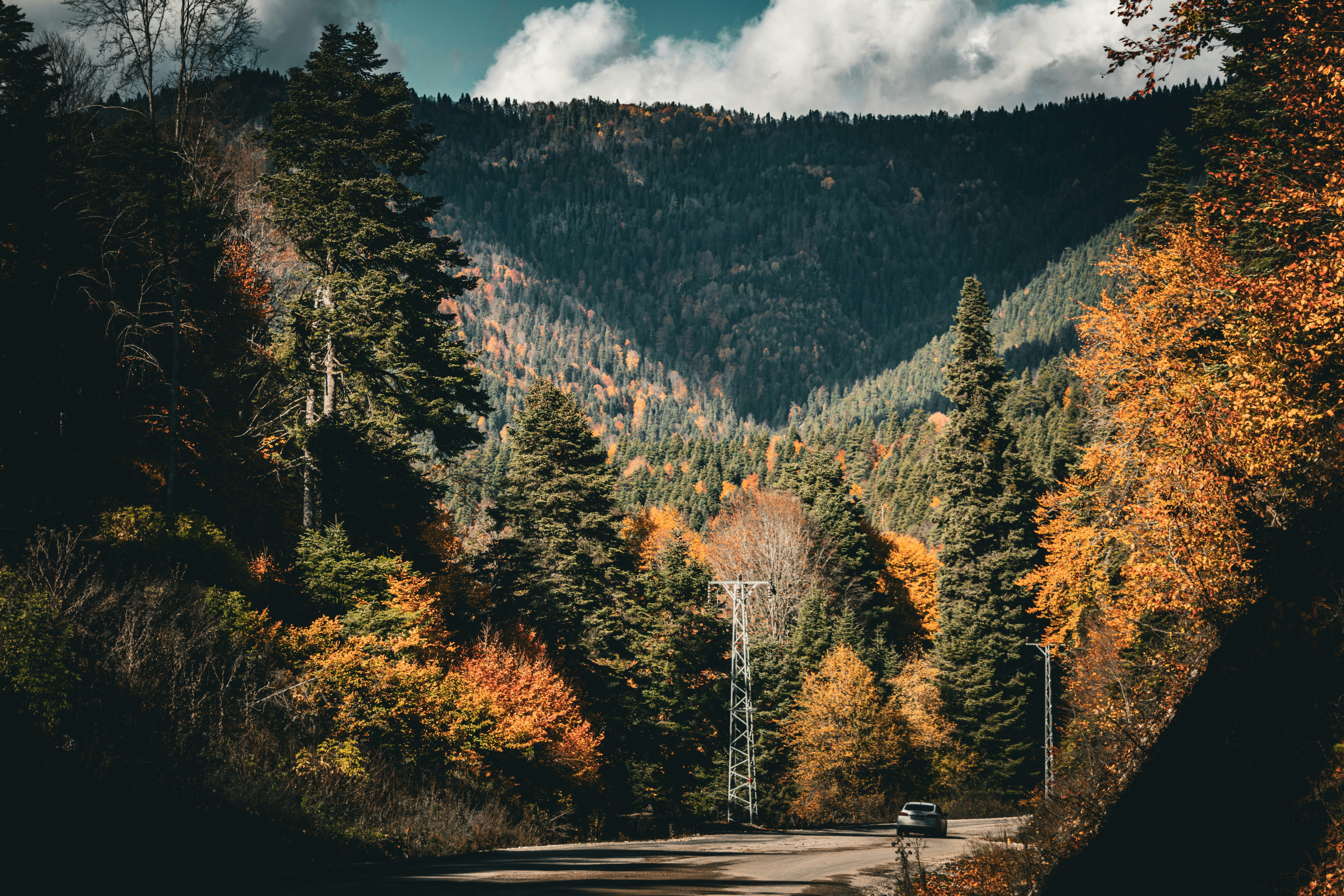 Photo by furkandurmus