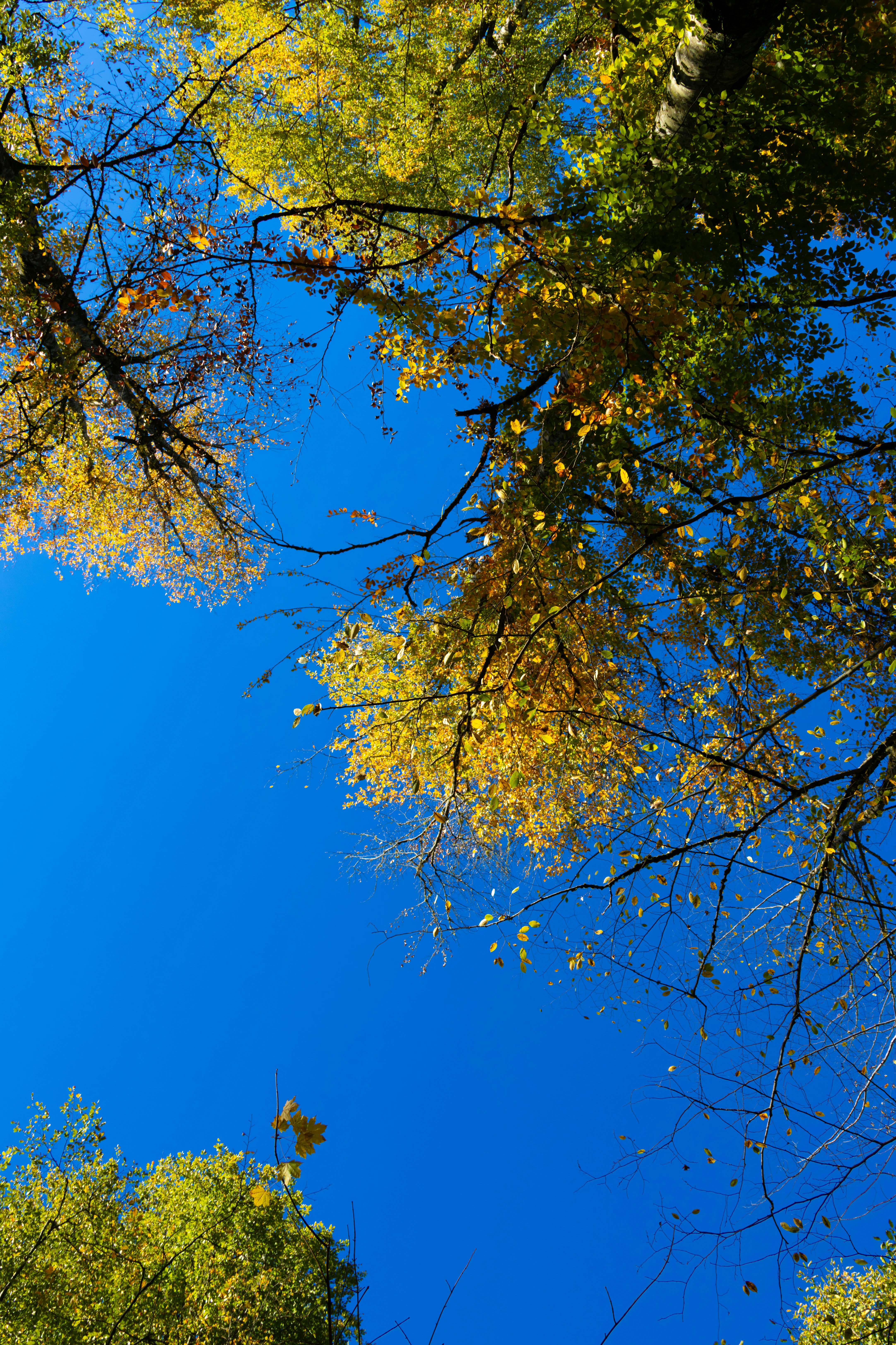 Photo by furkandurmus