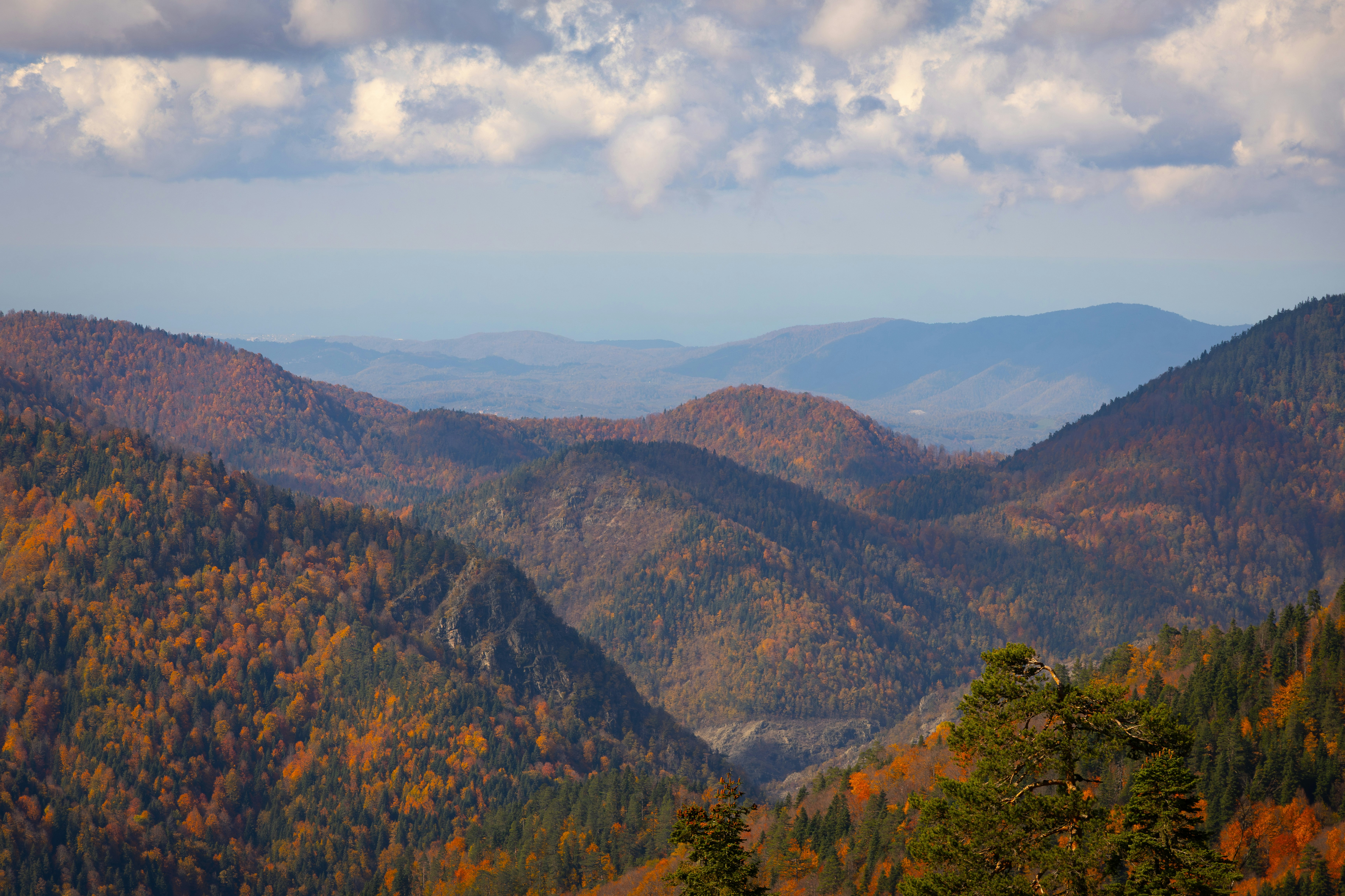 Photo by furkandurmus