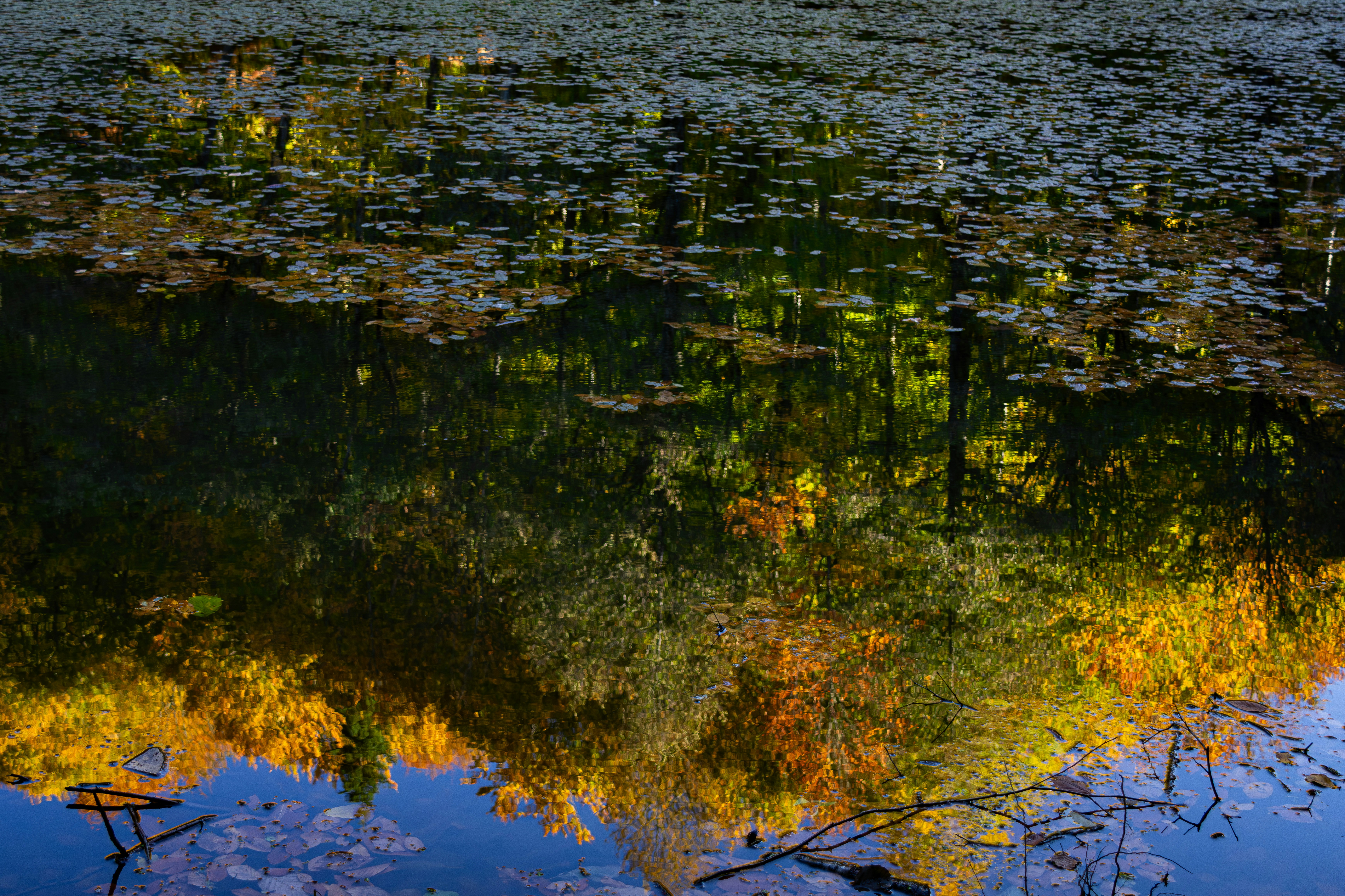 Photo by furkandurmus