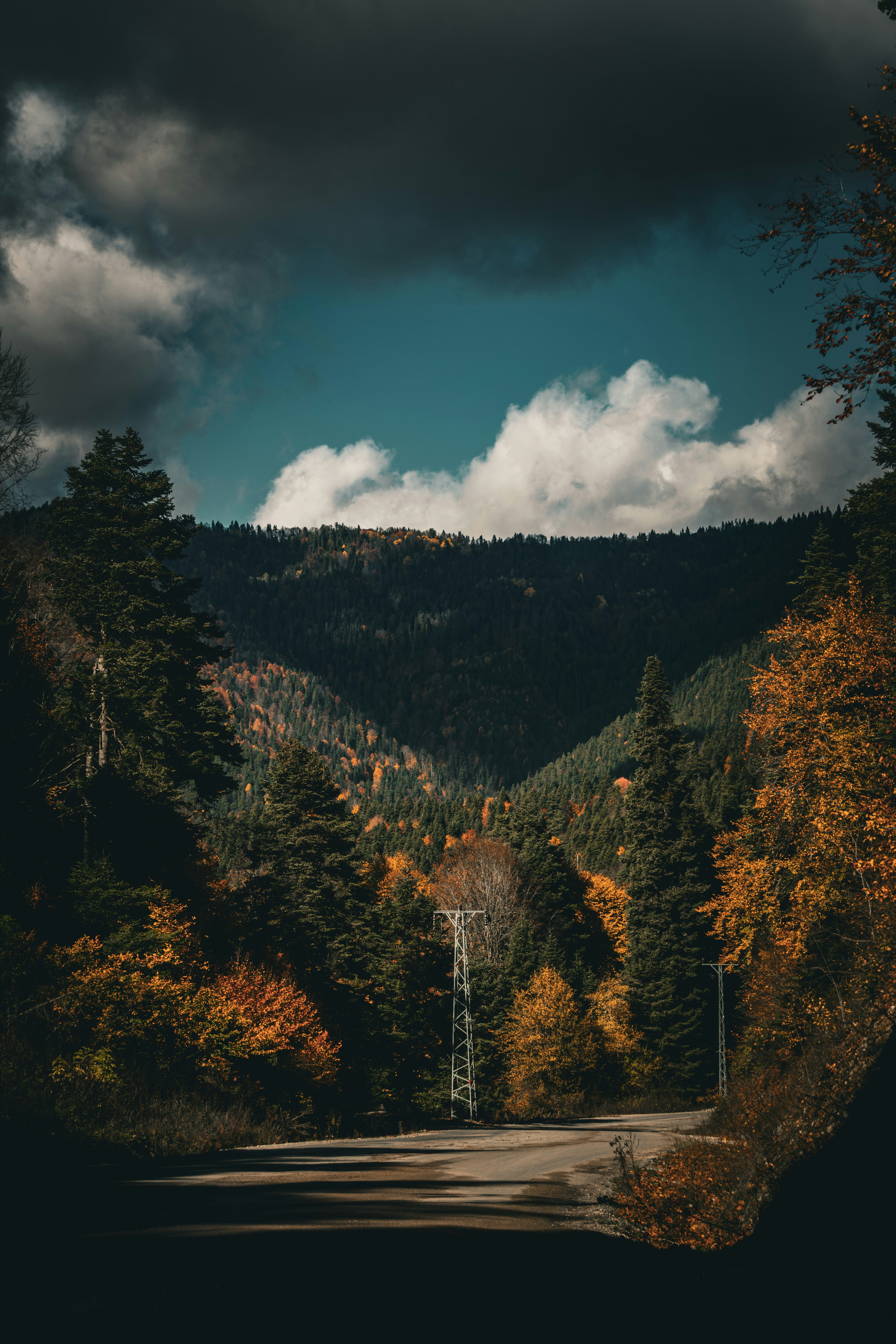 Photo by furkandurmus