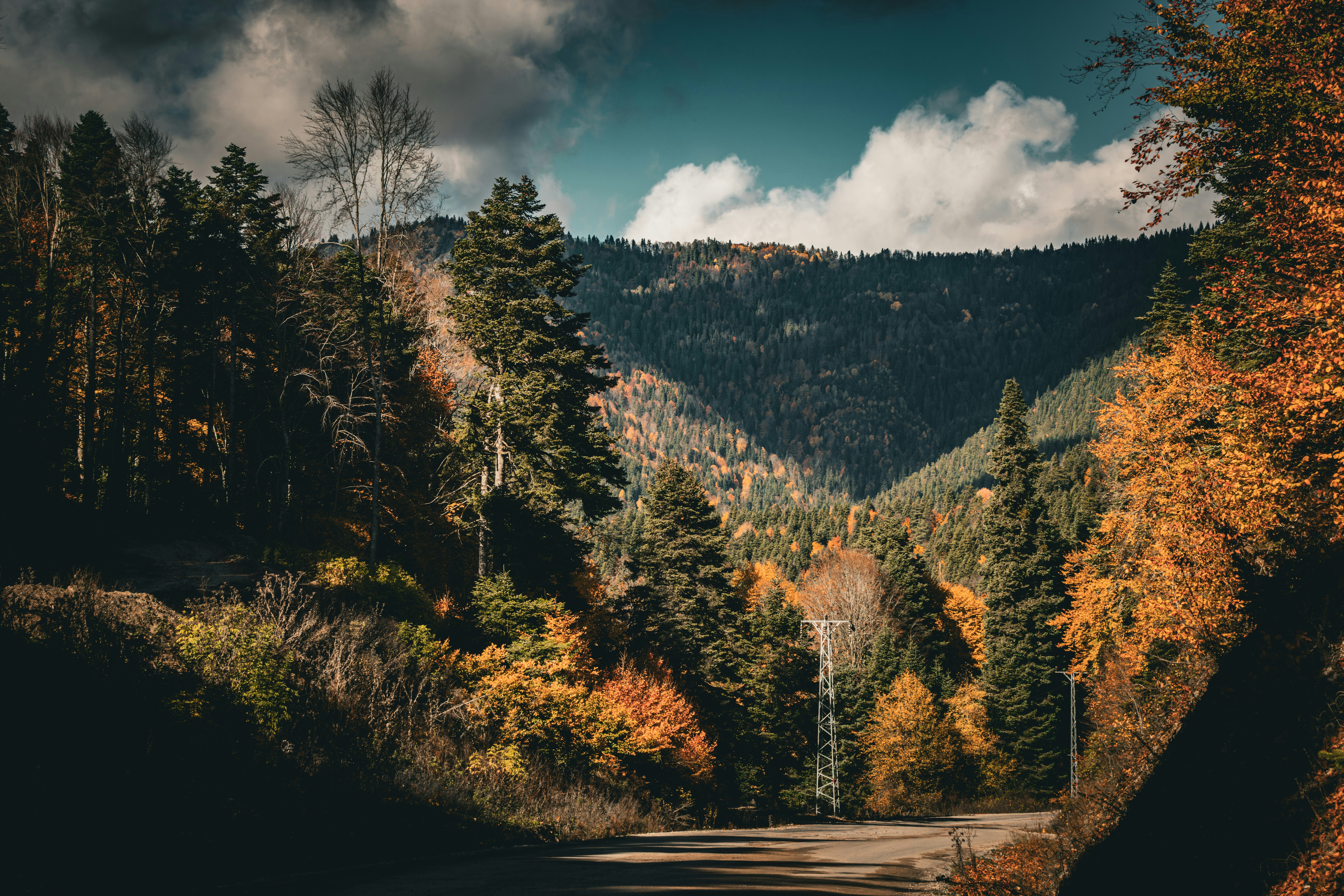 Photo by furkandurmus