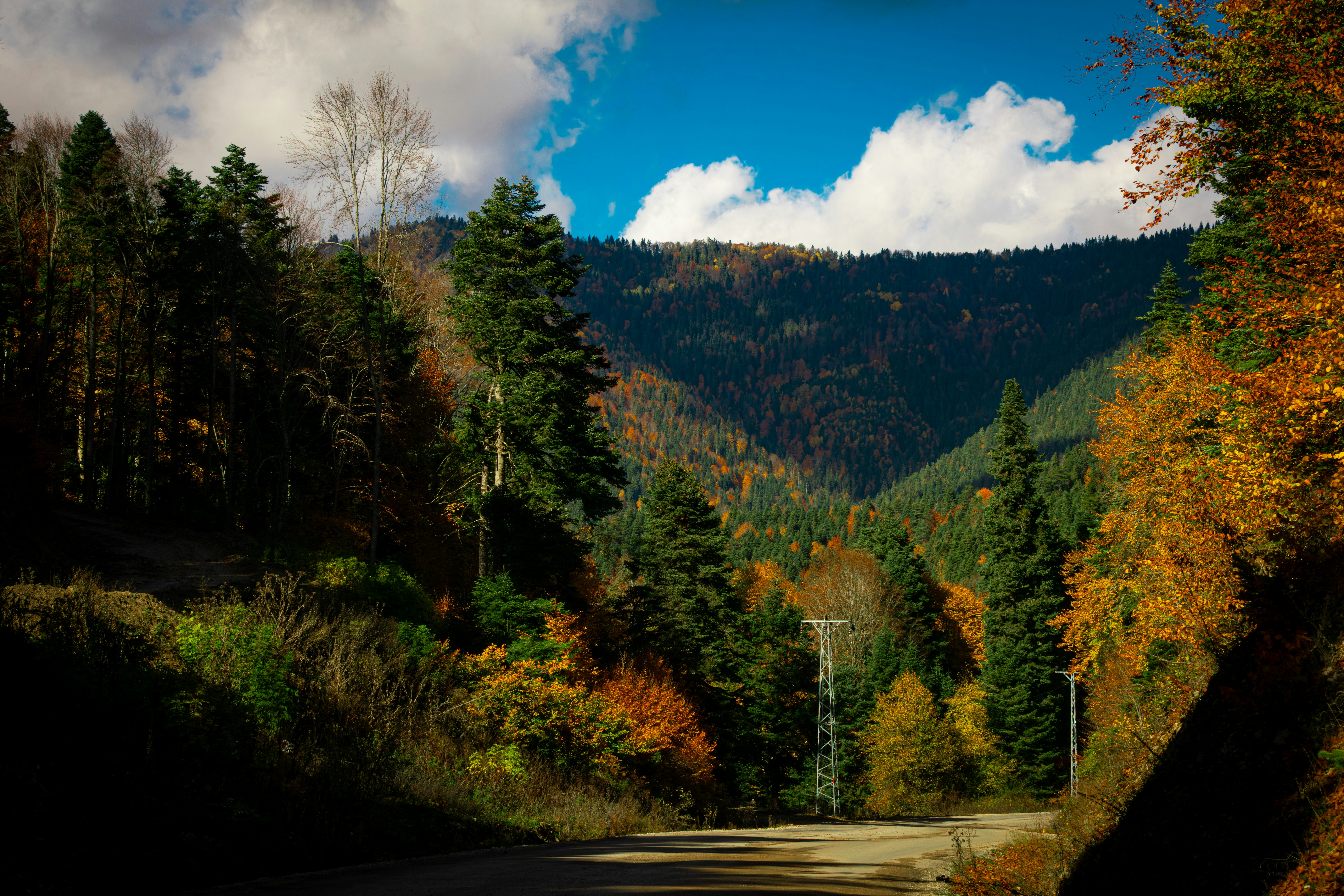 Blue Ridge Parkway Scenic Drive With Rolling Mountains, Fall Foliage, Overlooks, Waterfalls, Historic Cabins, And Charming Towns