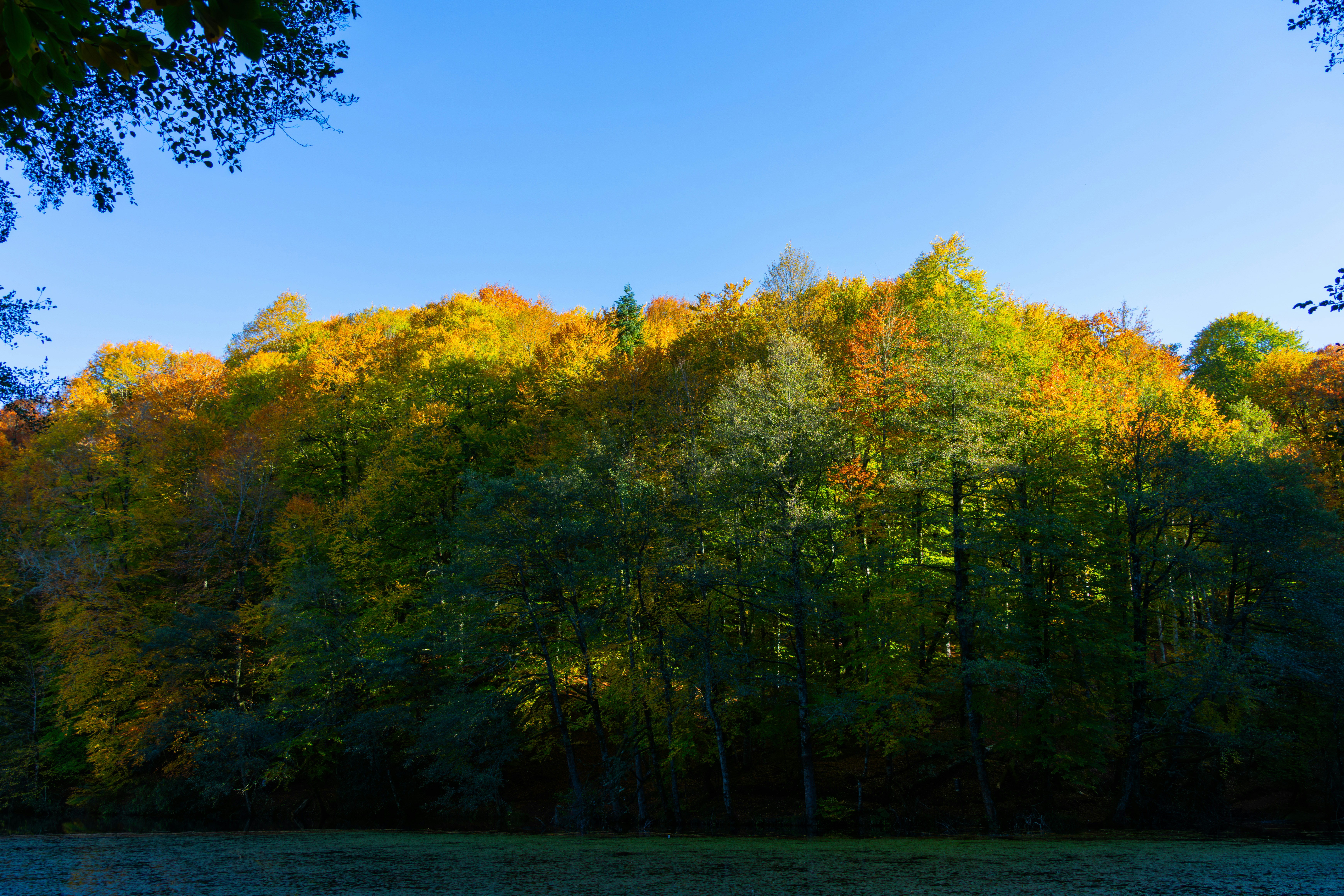 Photo by furkandurmus