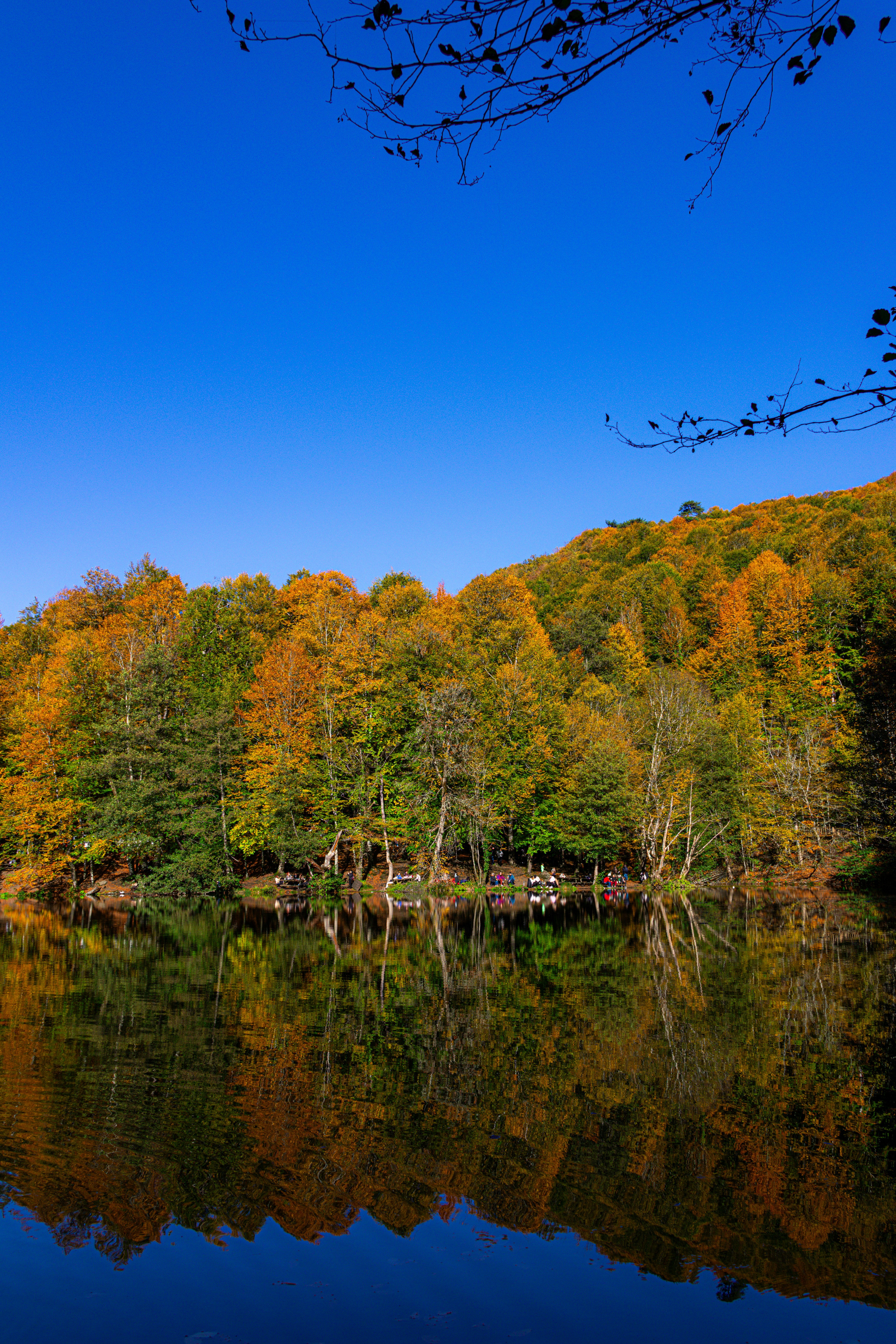 Photo by furkandurmus