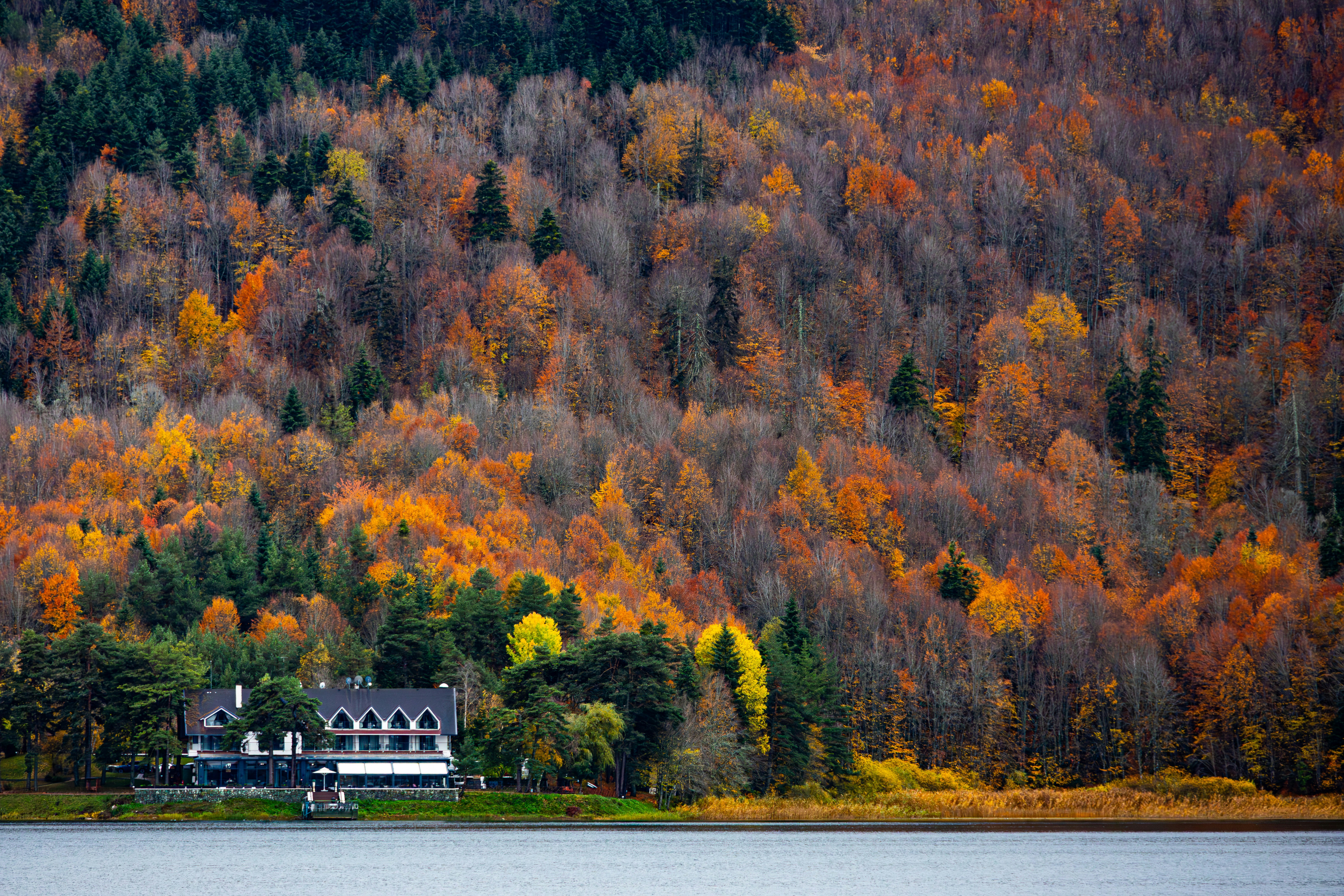 Photo by furkandurmus