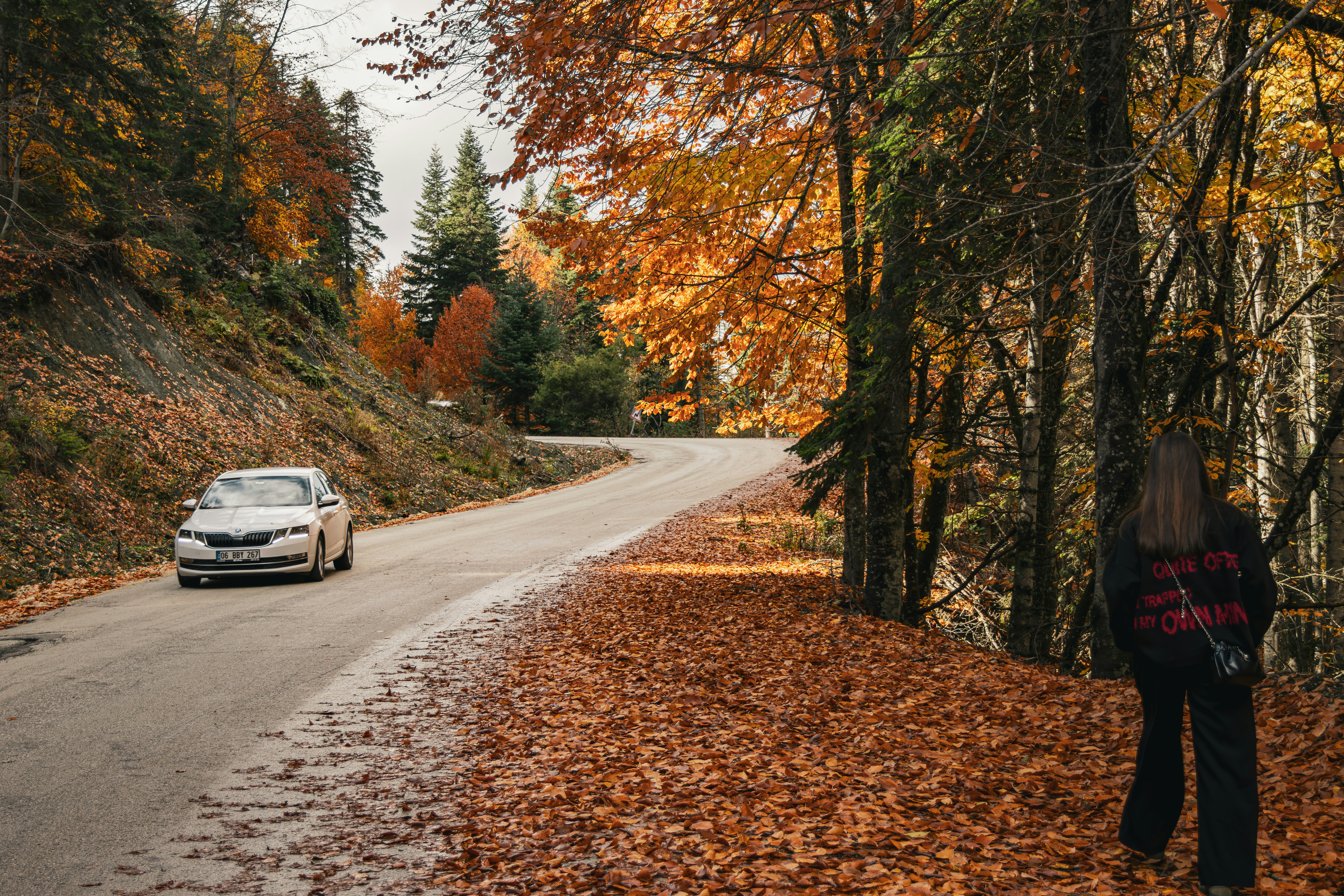 Photo by furkandurmus