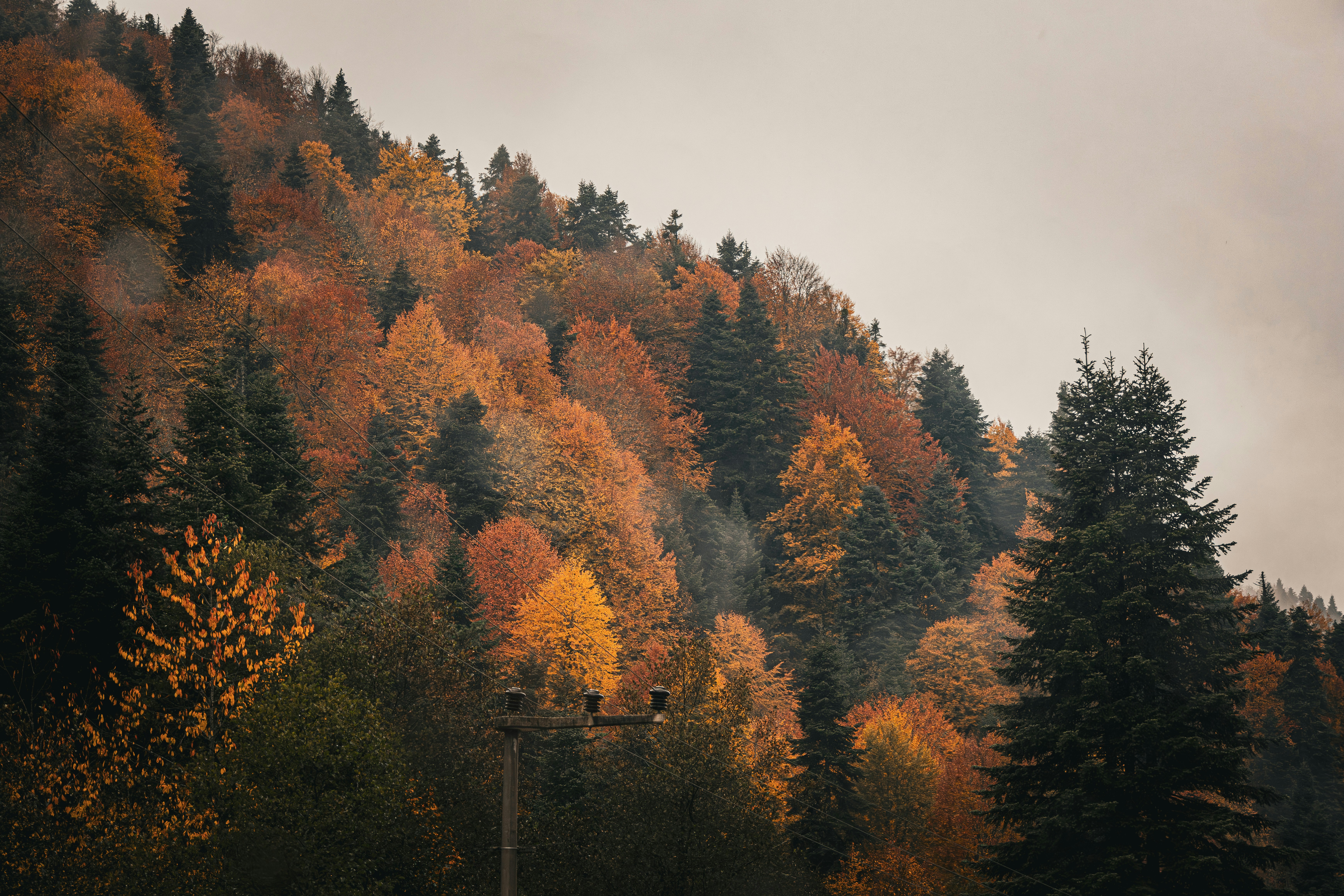 Photo by furkandurmus