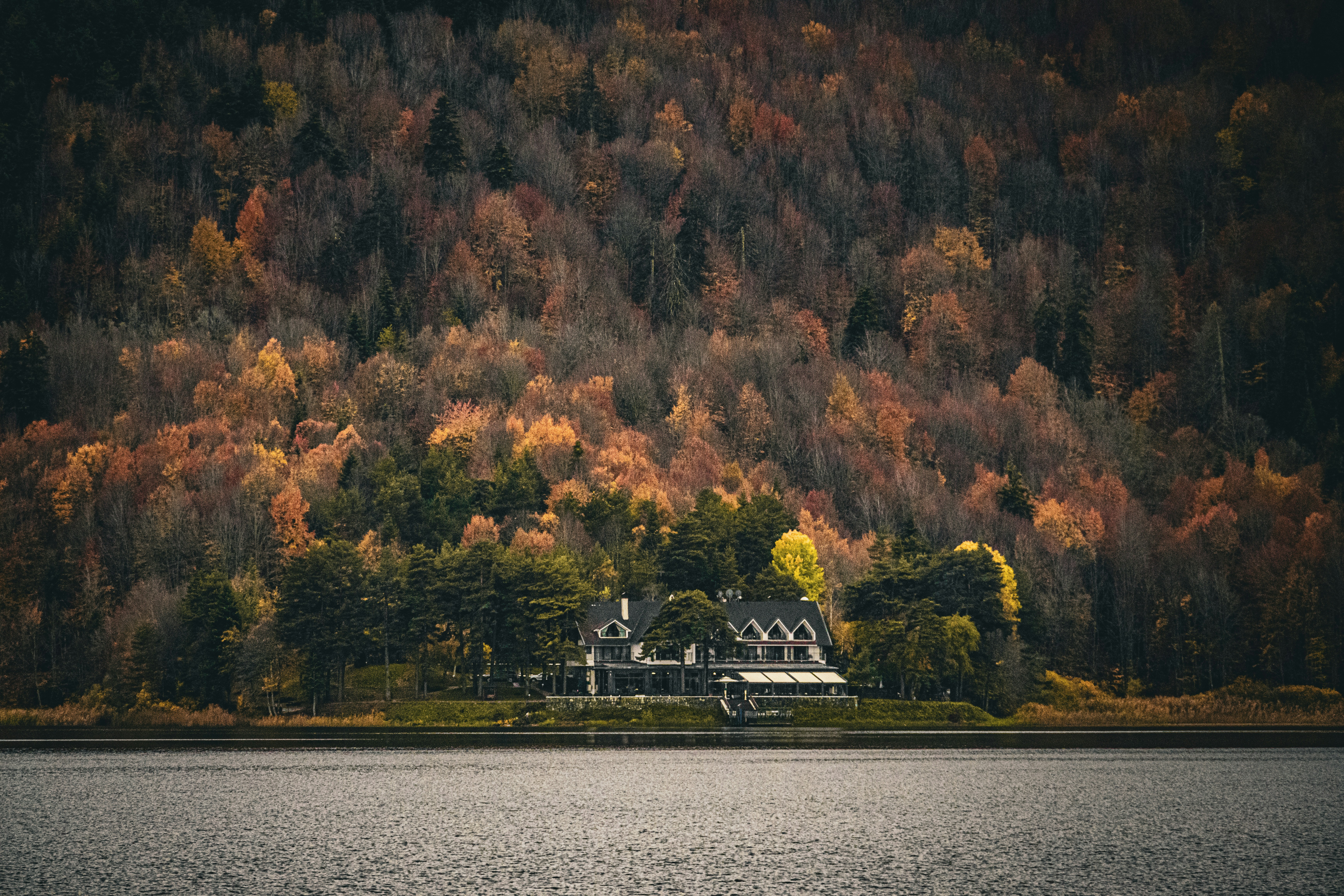 Photo by furkandurmus