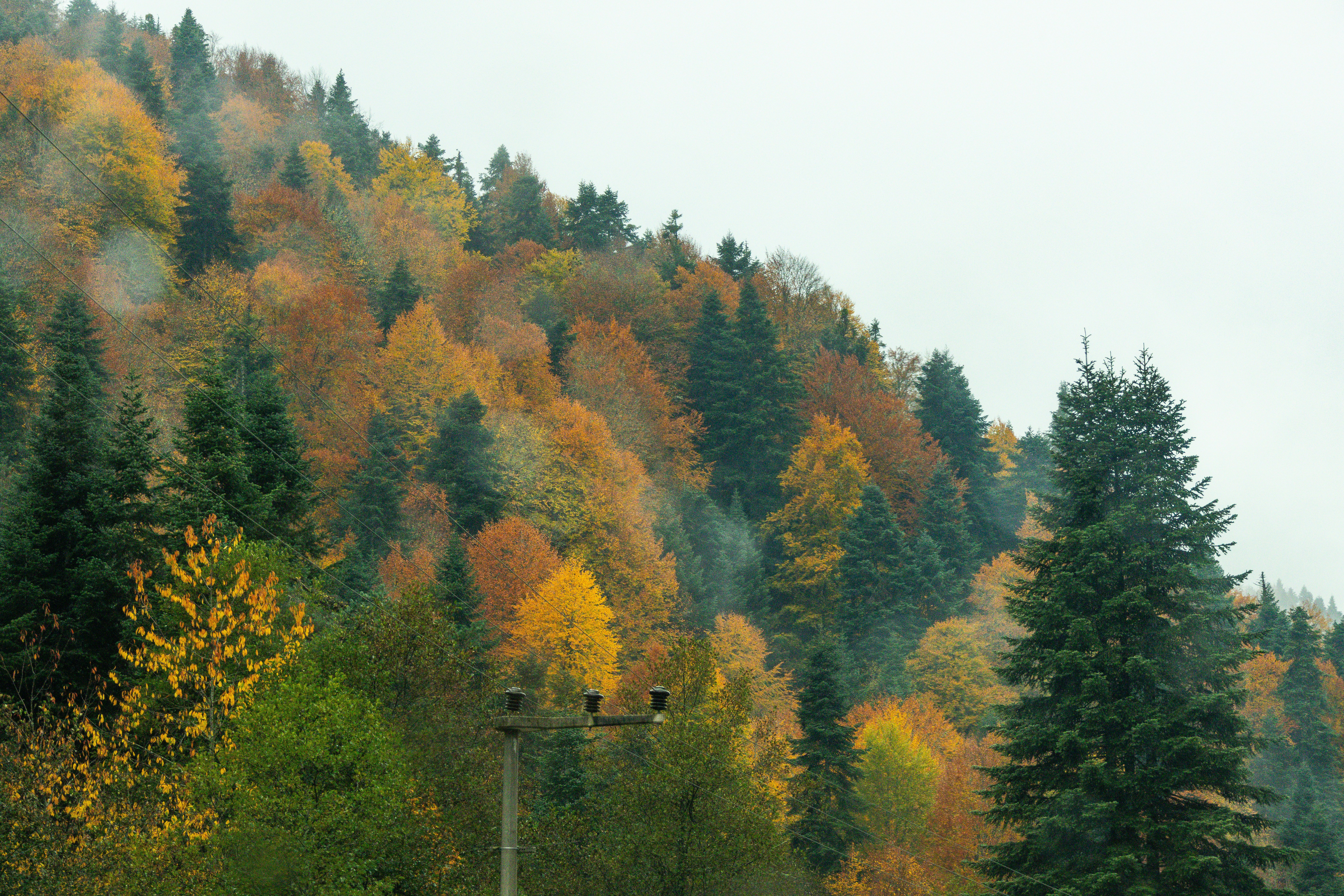 Photo by furkandurmus