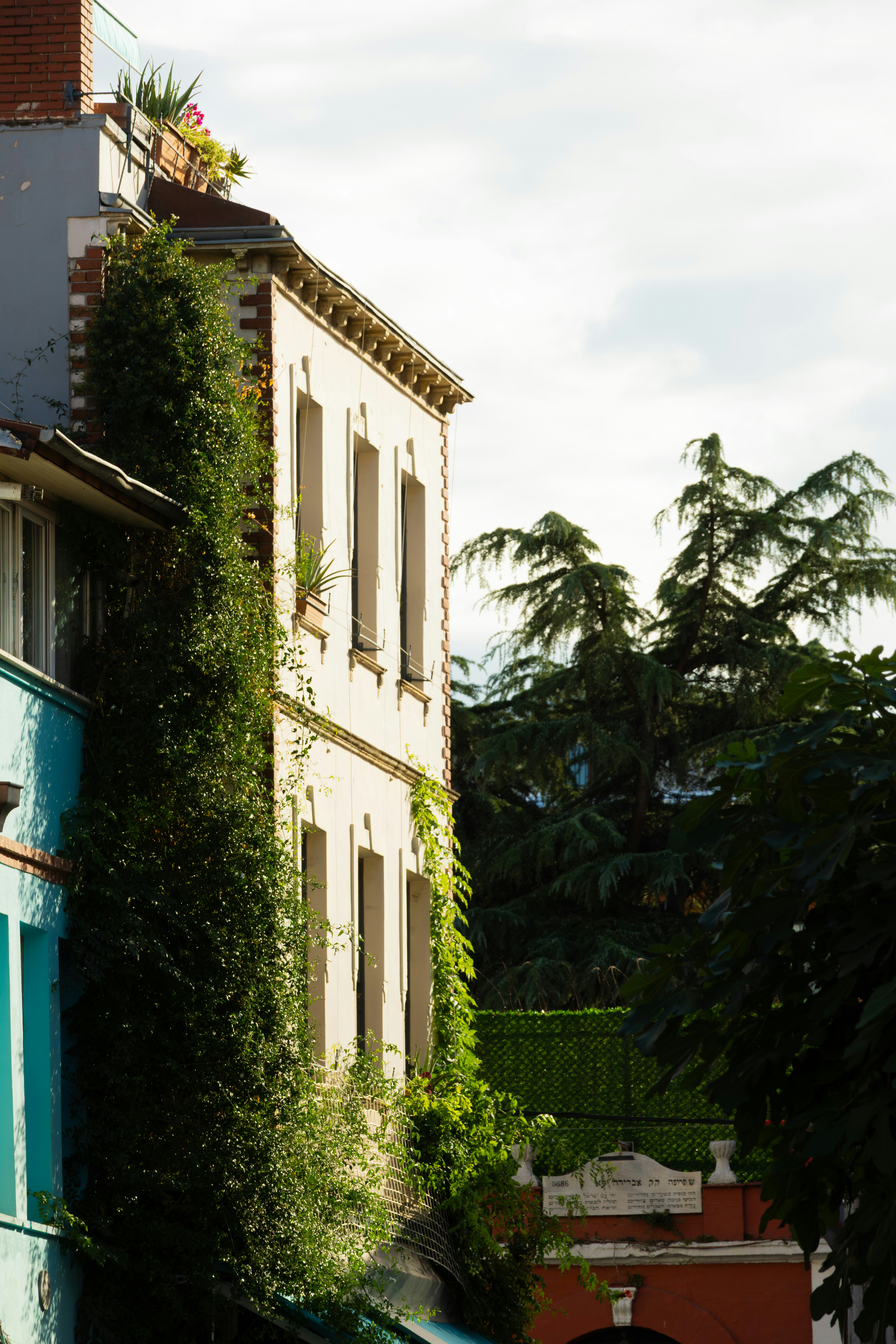 Photo by furkandurmus