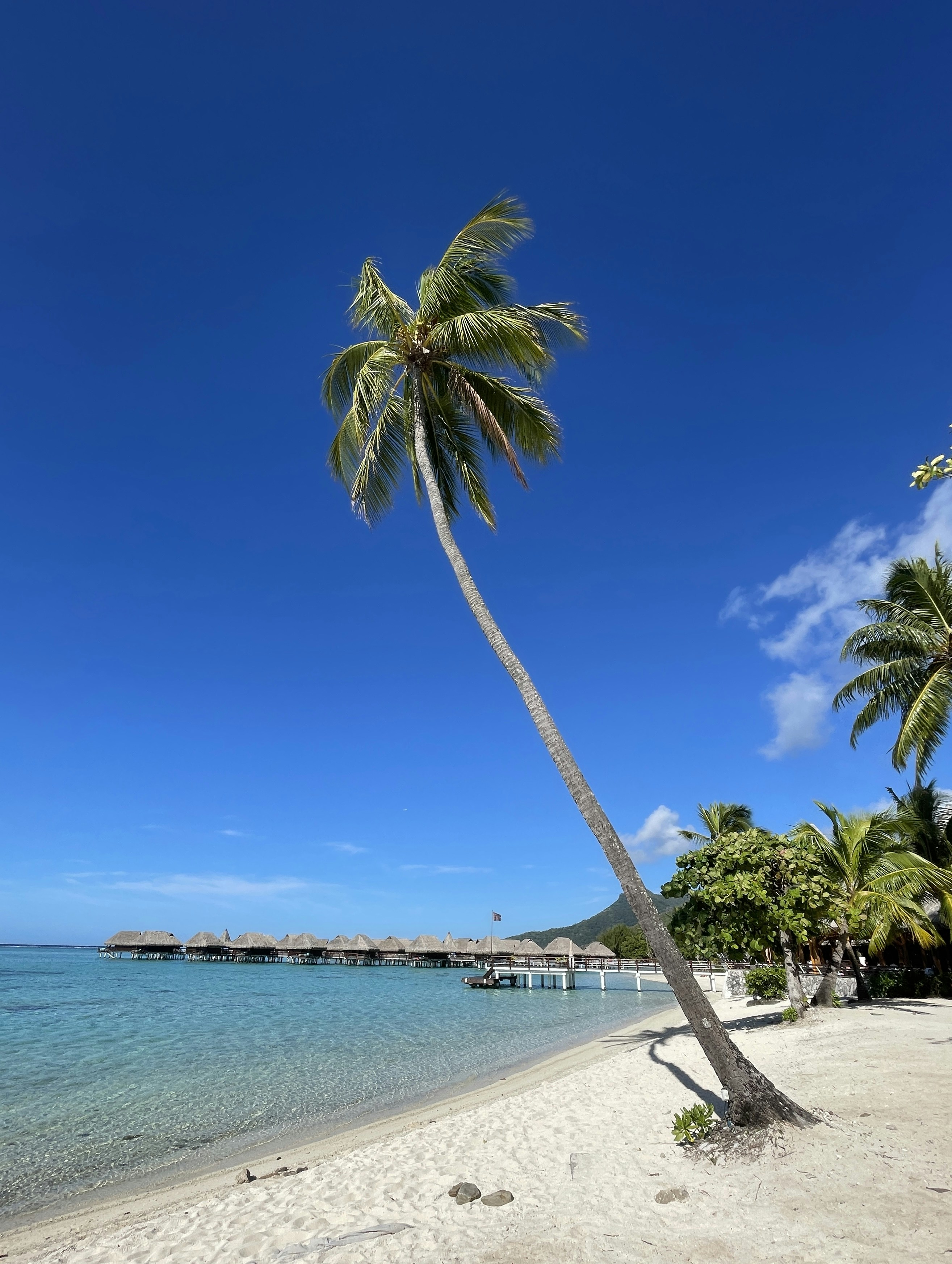 Grand Baie – Nightlife & Evening Culture