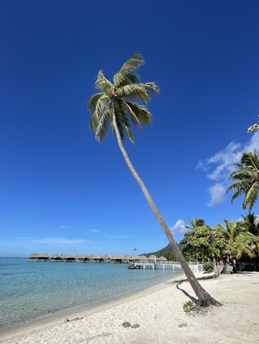 San Juan Marriott Resort & Stellaris Casino resort