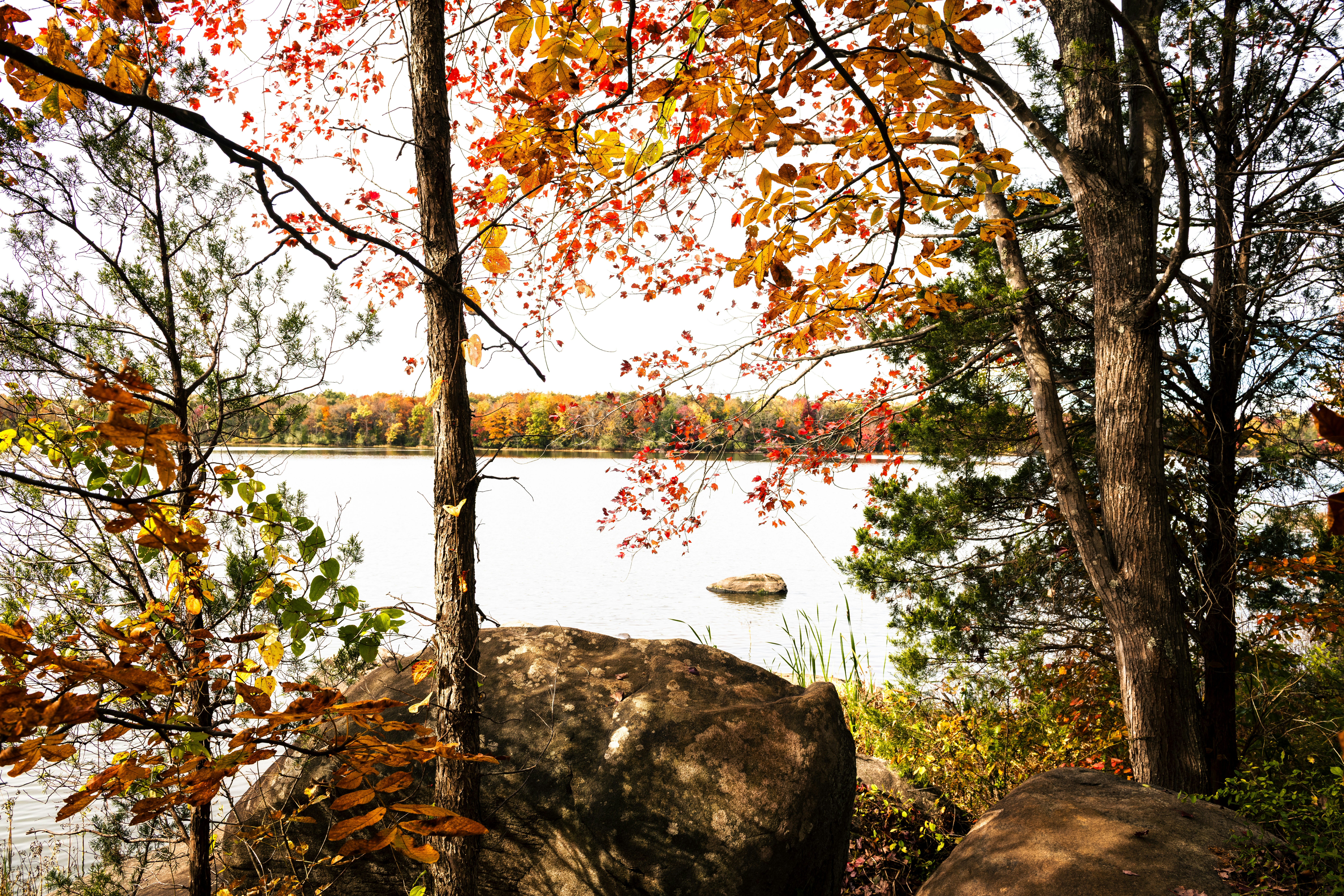 Photo by sriniunsplash