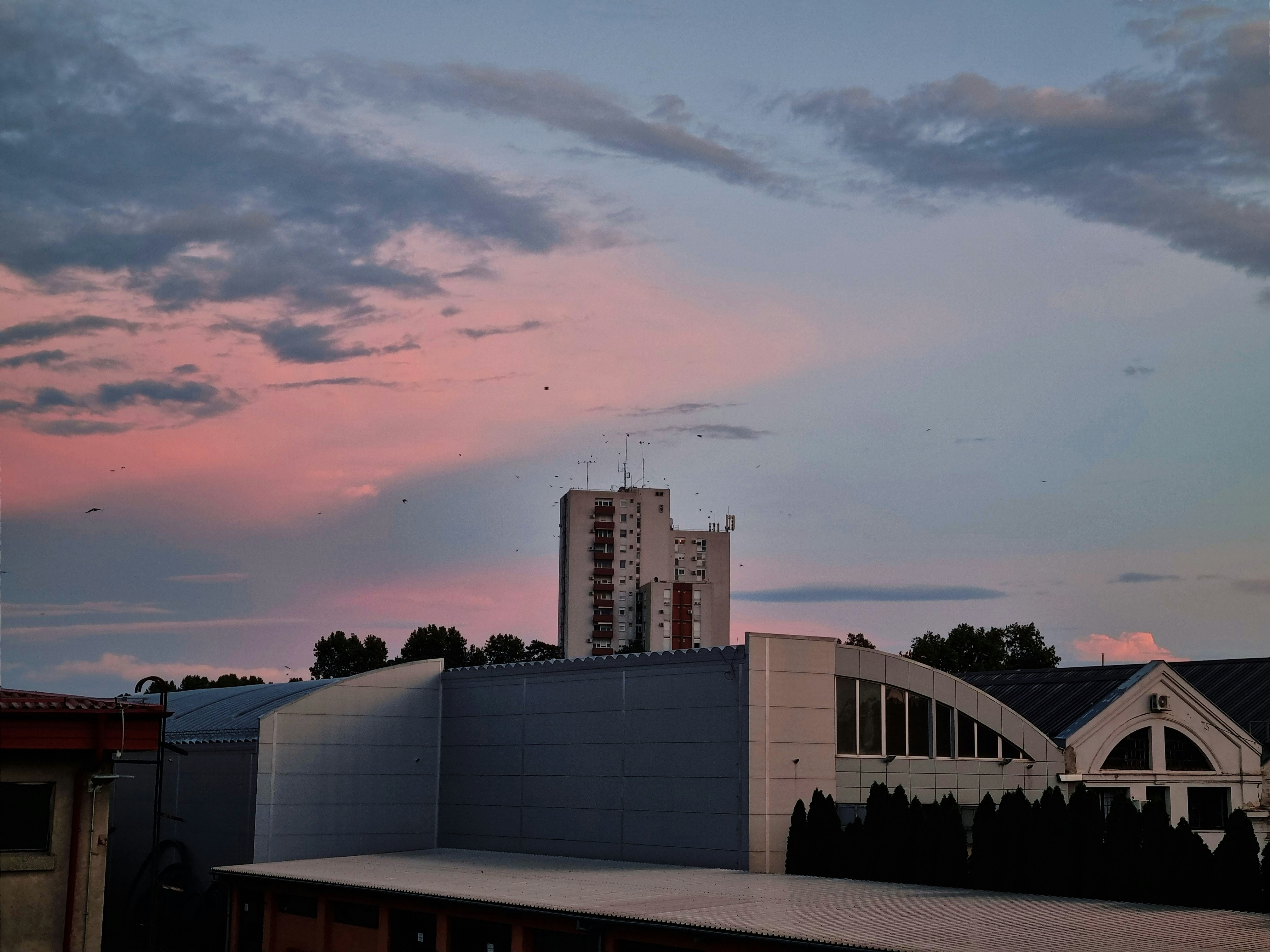 Pink and blue clouds over buildings at dusk