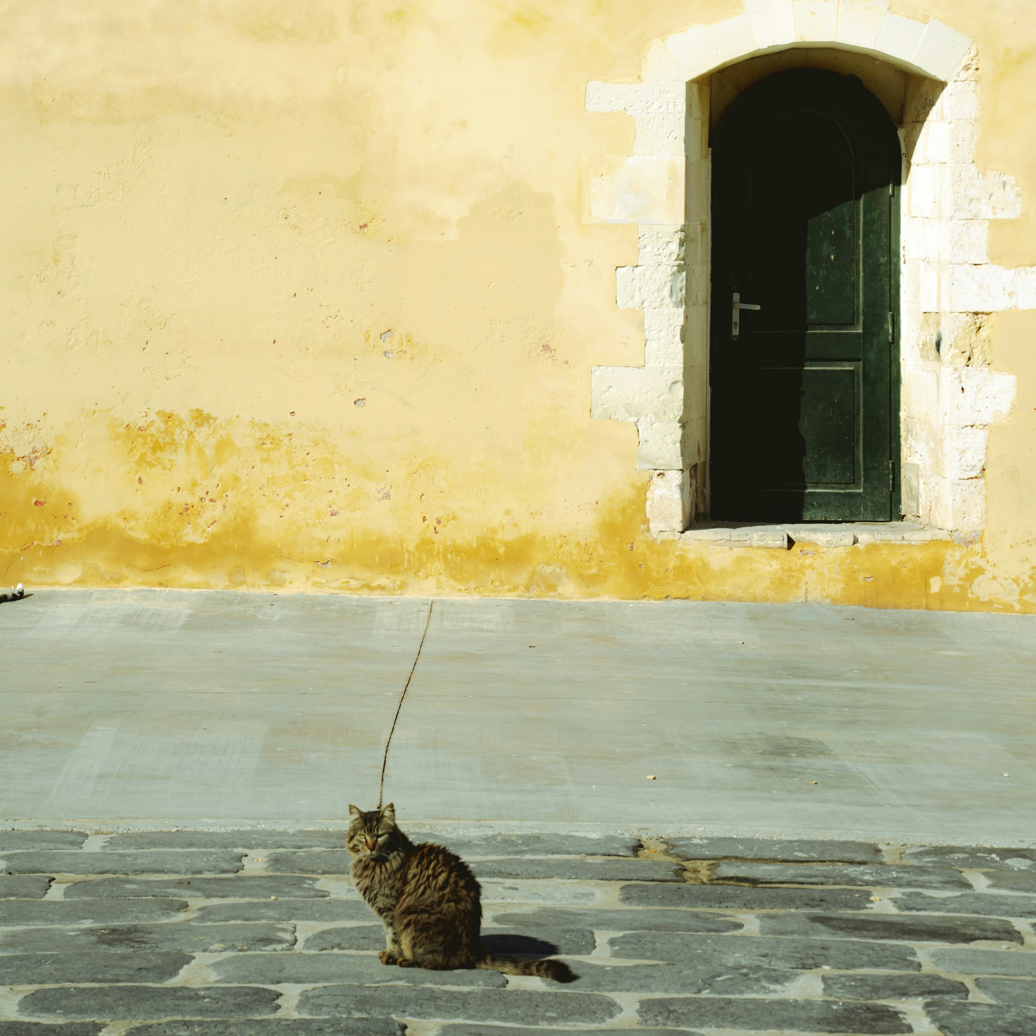 Photo by jeffreyzhang_920