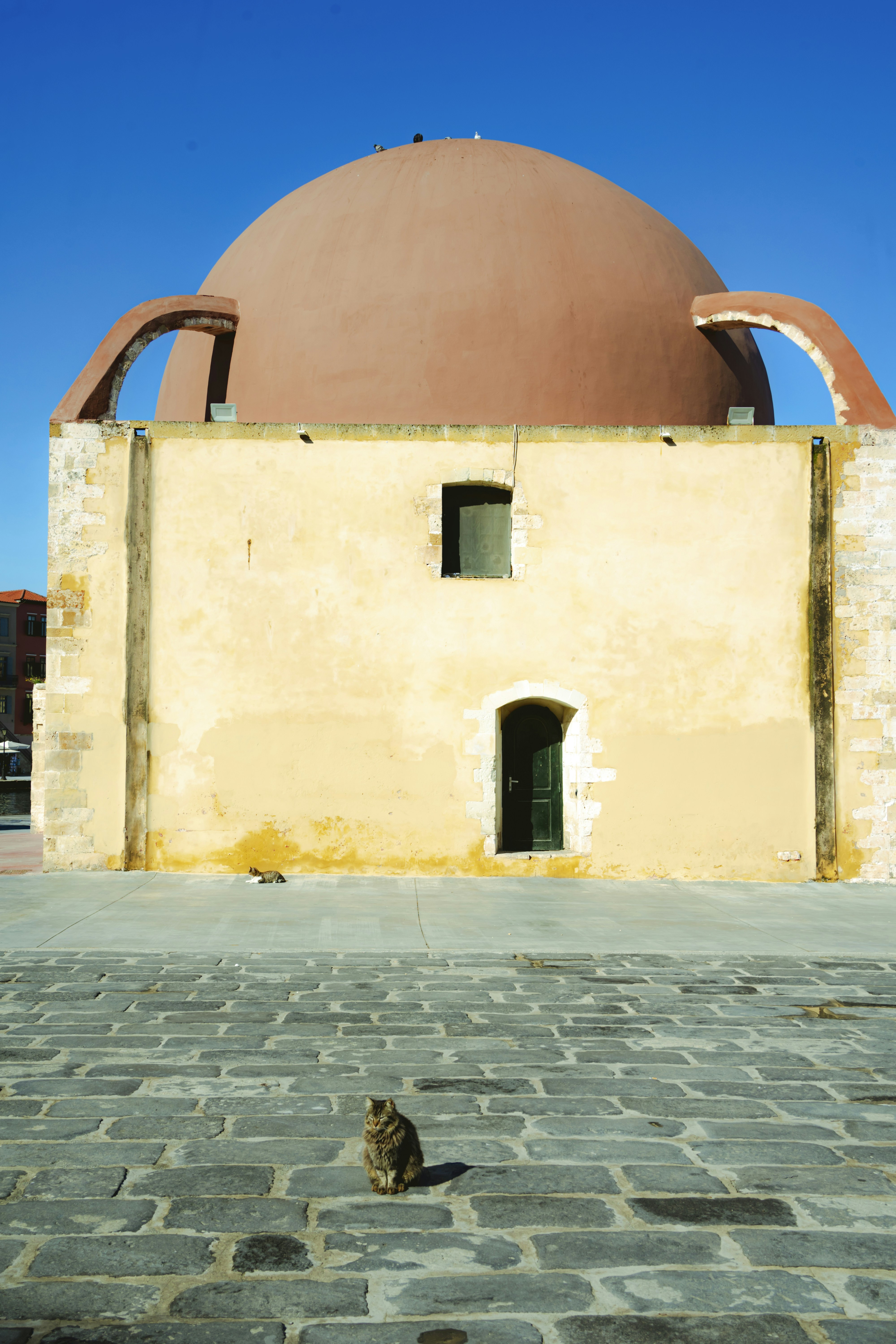 Photo by jeffreyzhang_920