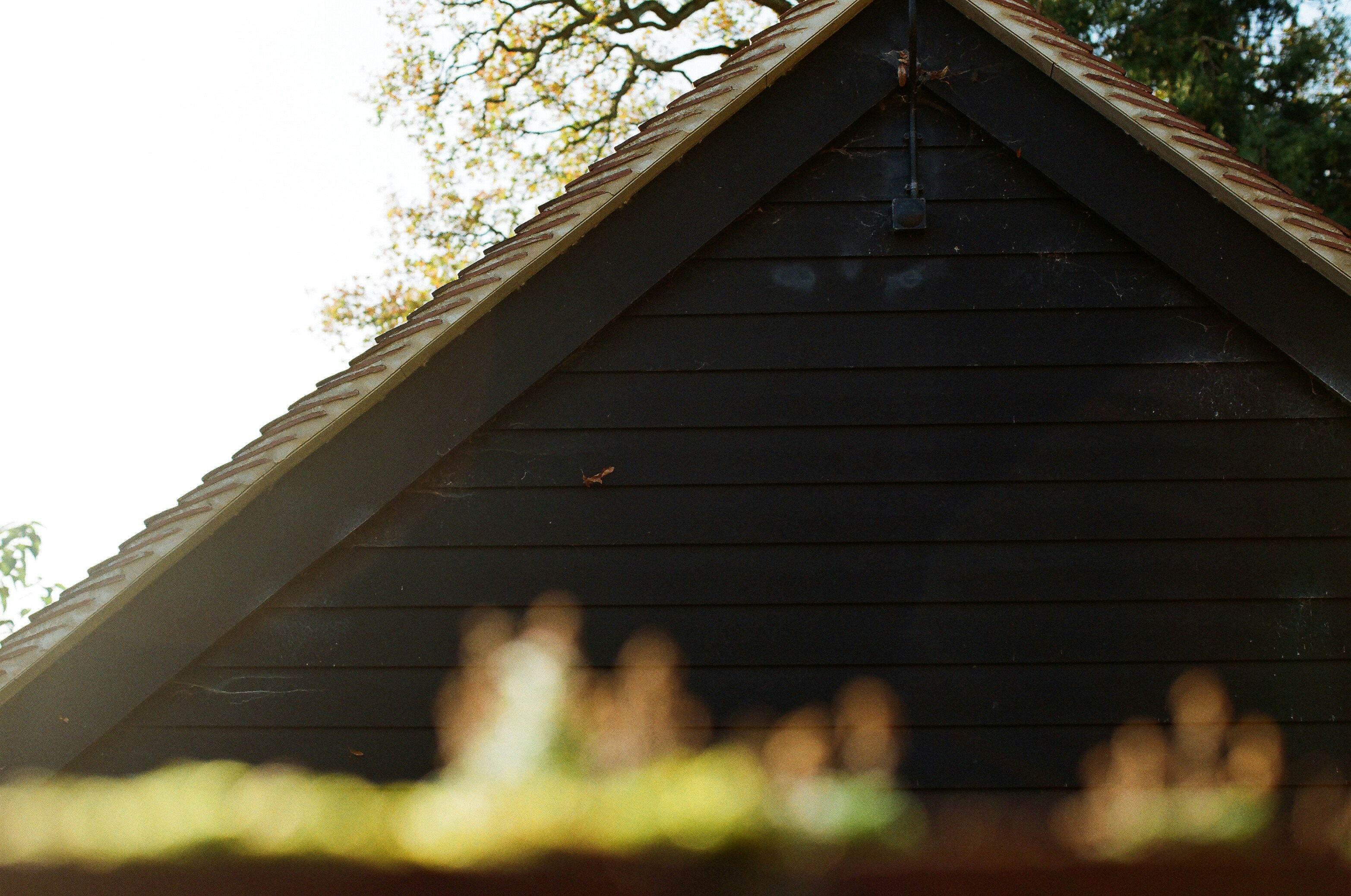 Photo by tanyabarrow