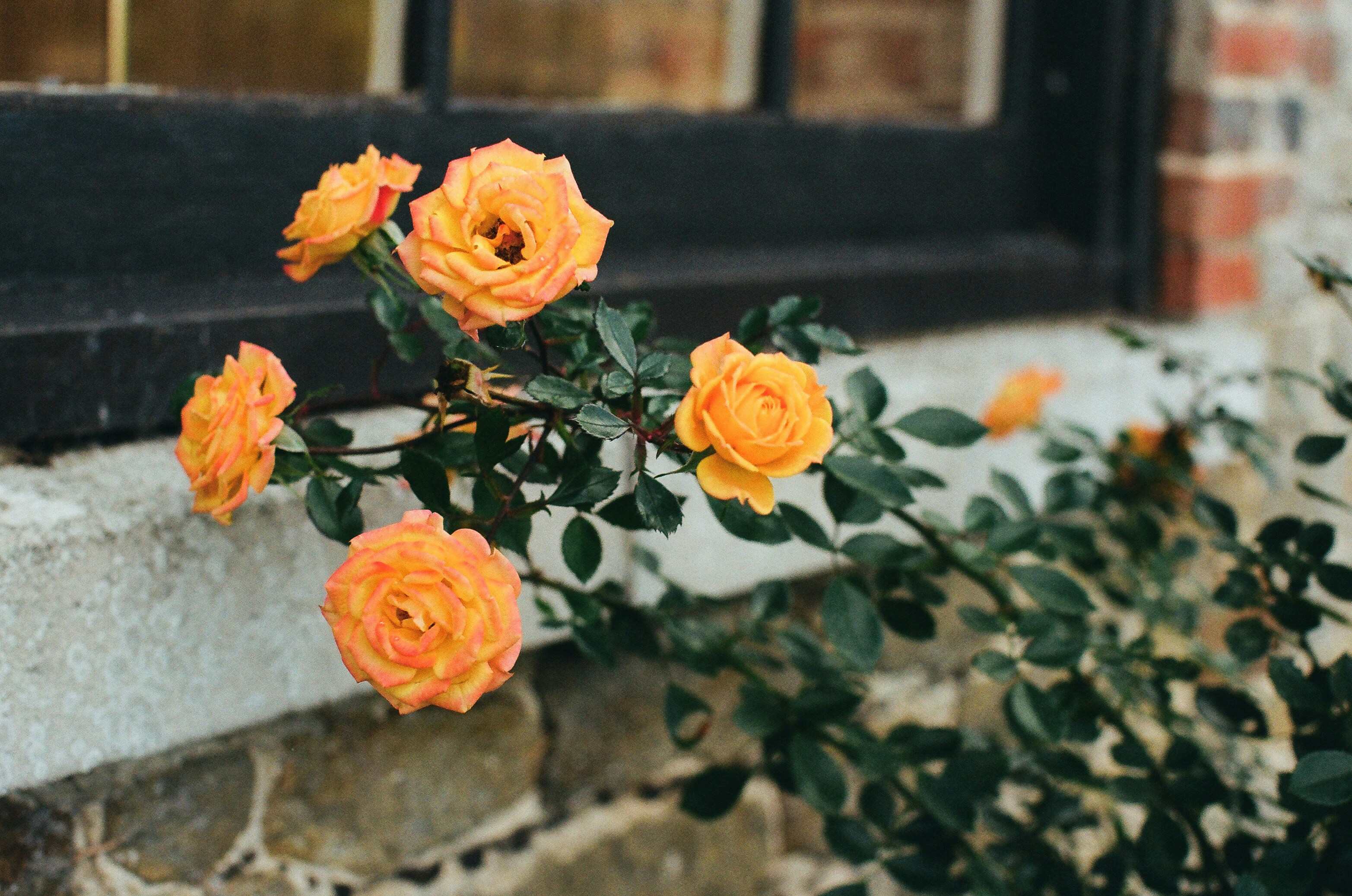 Photo by tanyabarrow