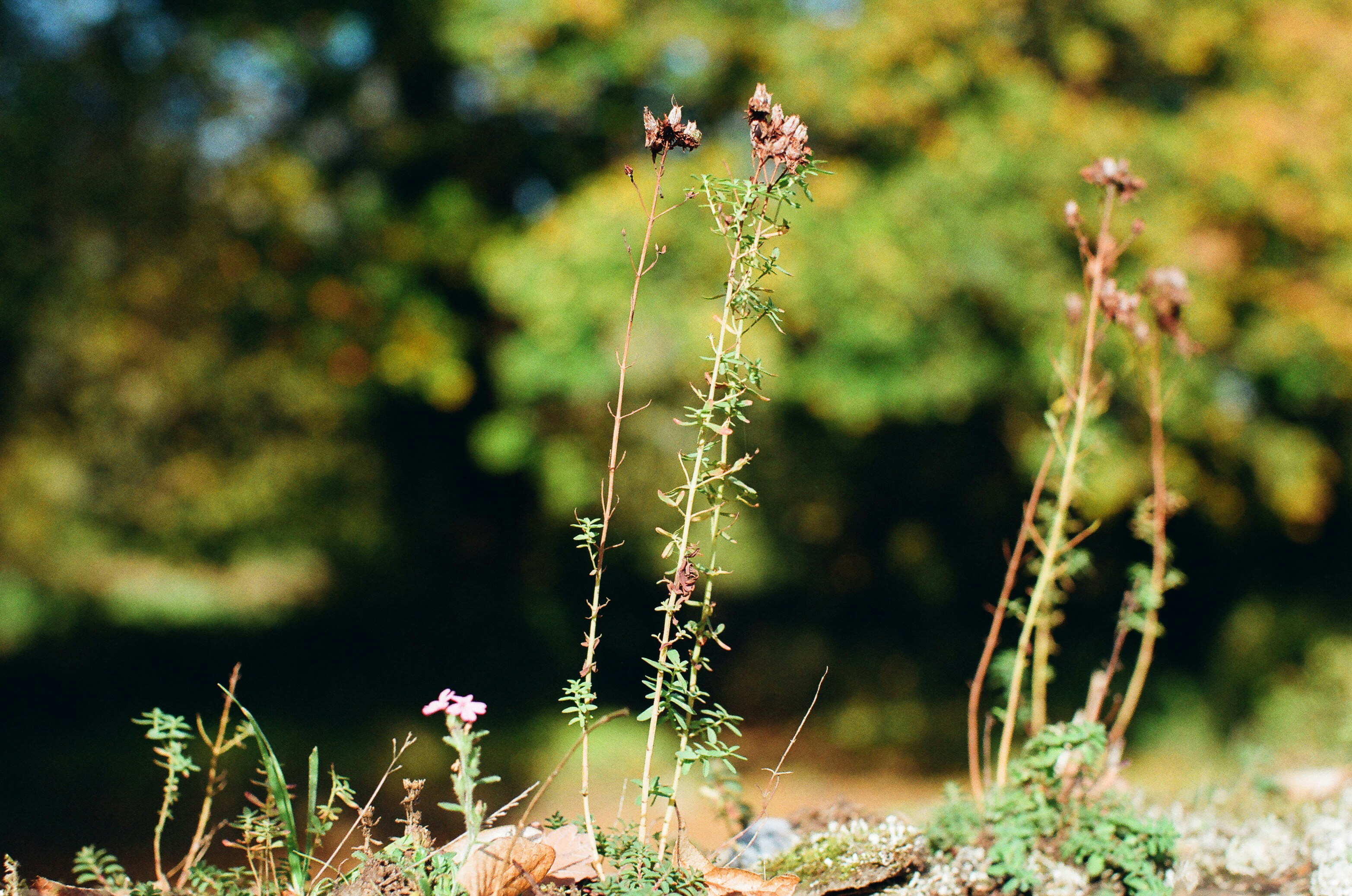 Photo by tanyabarrow