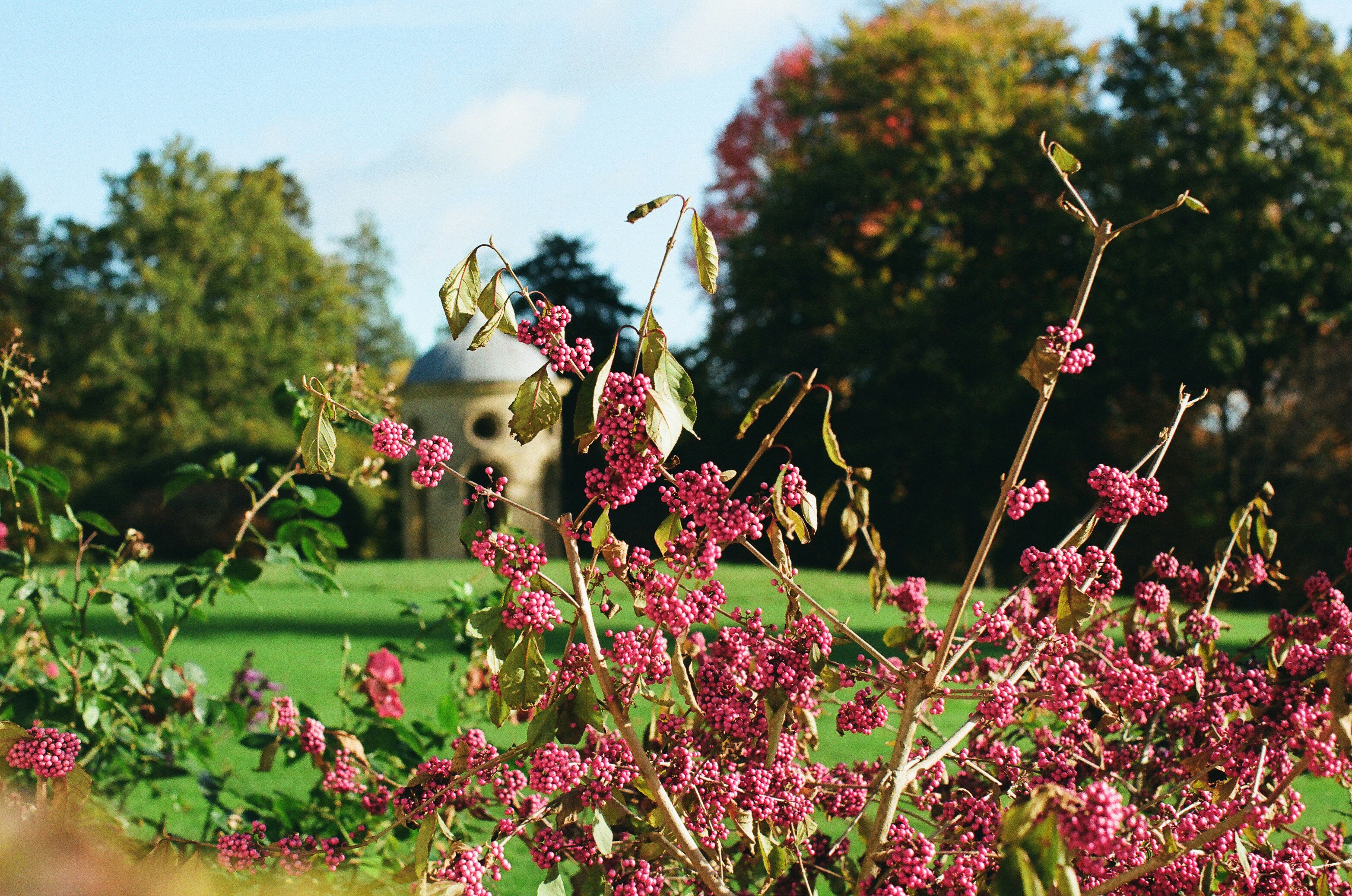 Photo by tanyabarrow