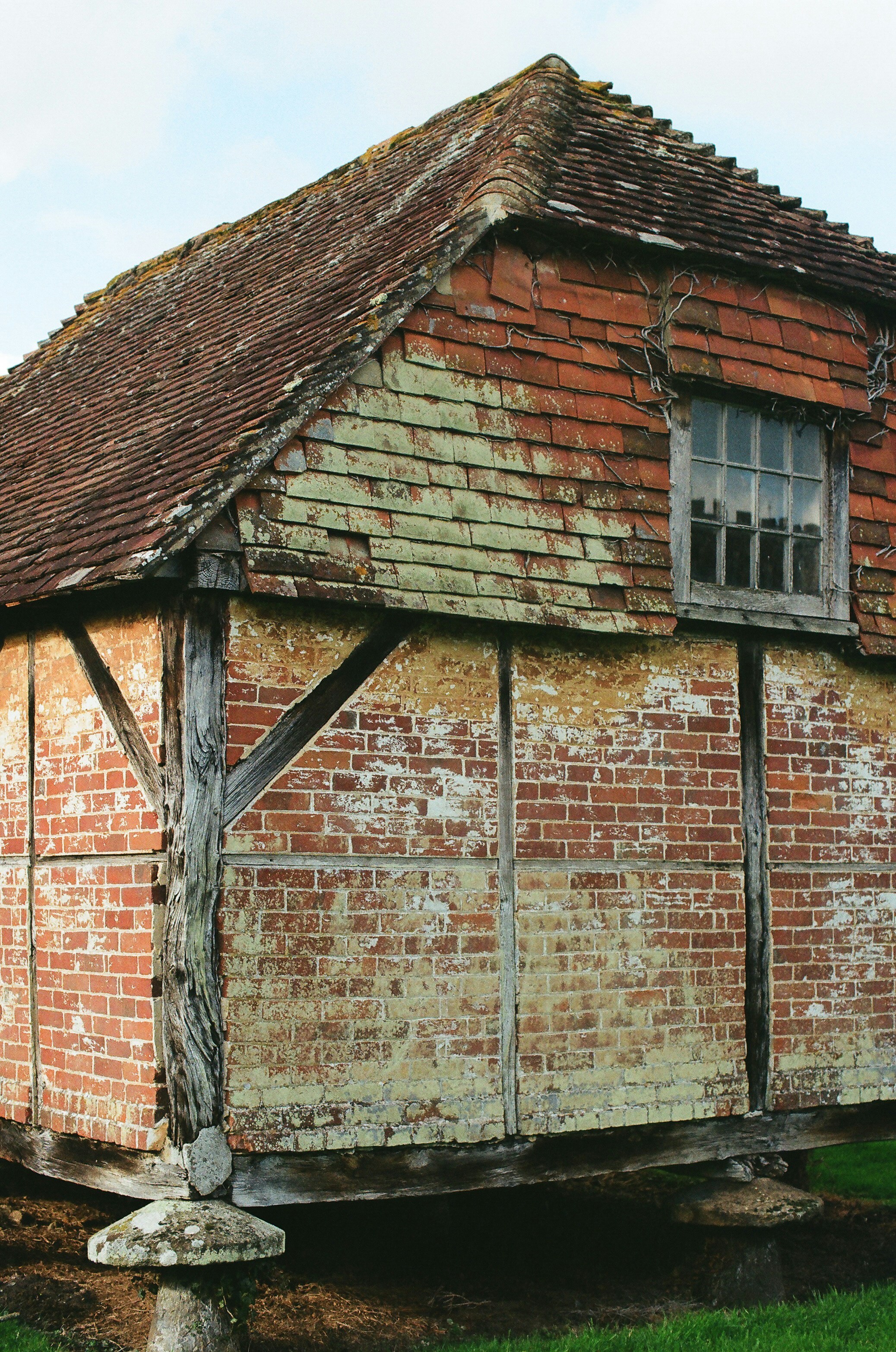 Photo by tanyabarrow