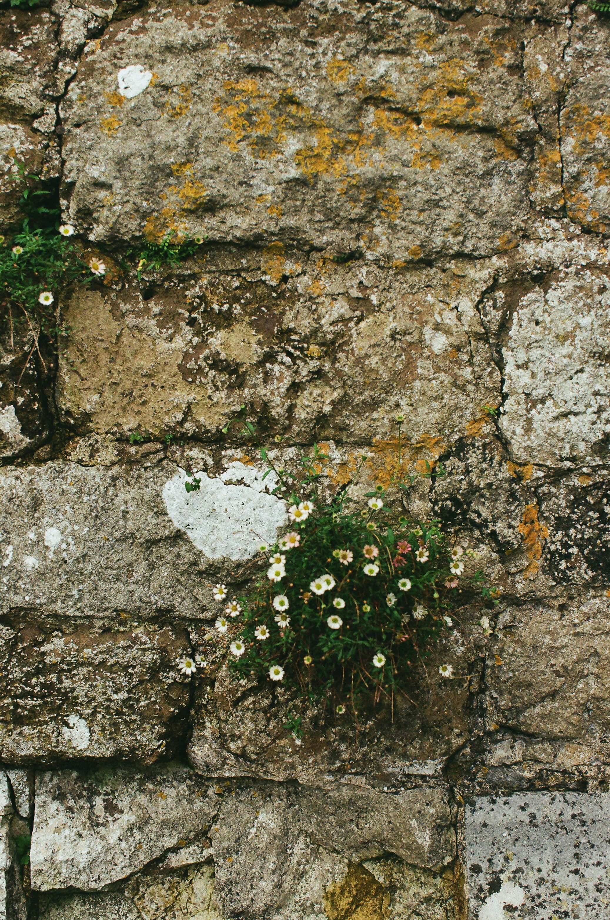 Photo by tanyabarrow