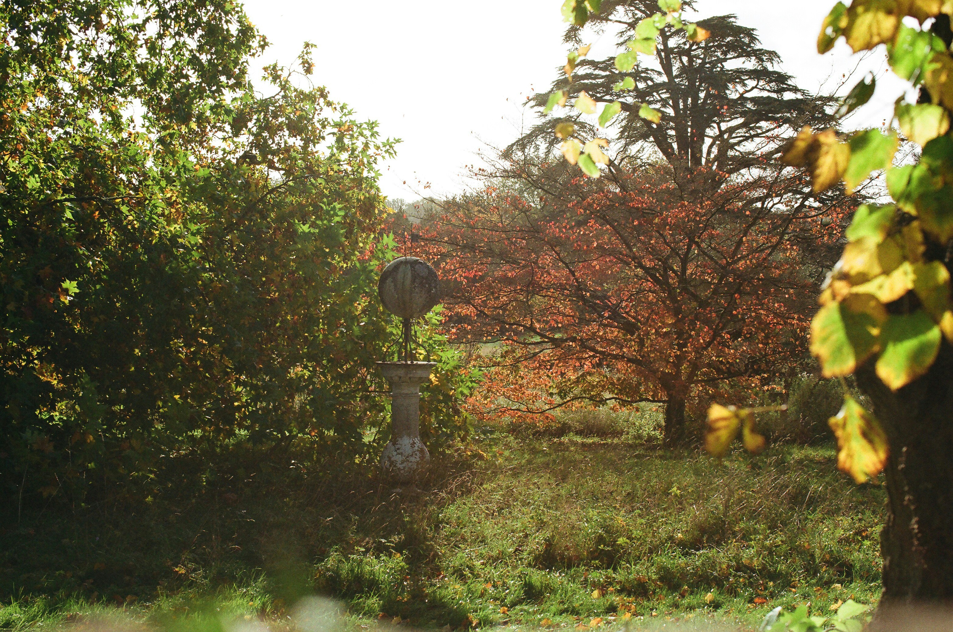 Photo by tanyabarrow