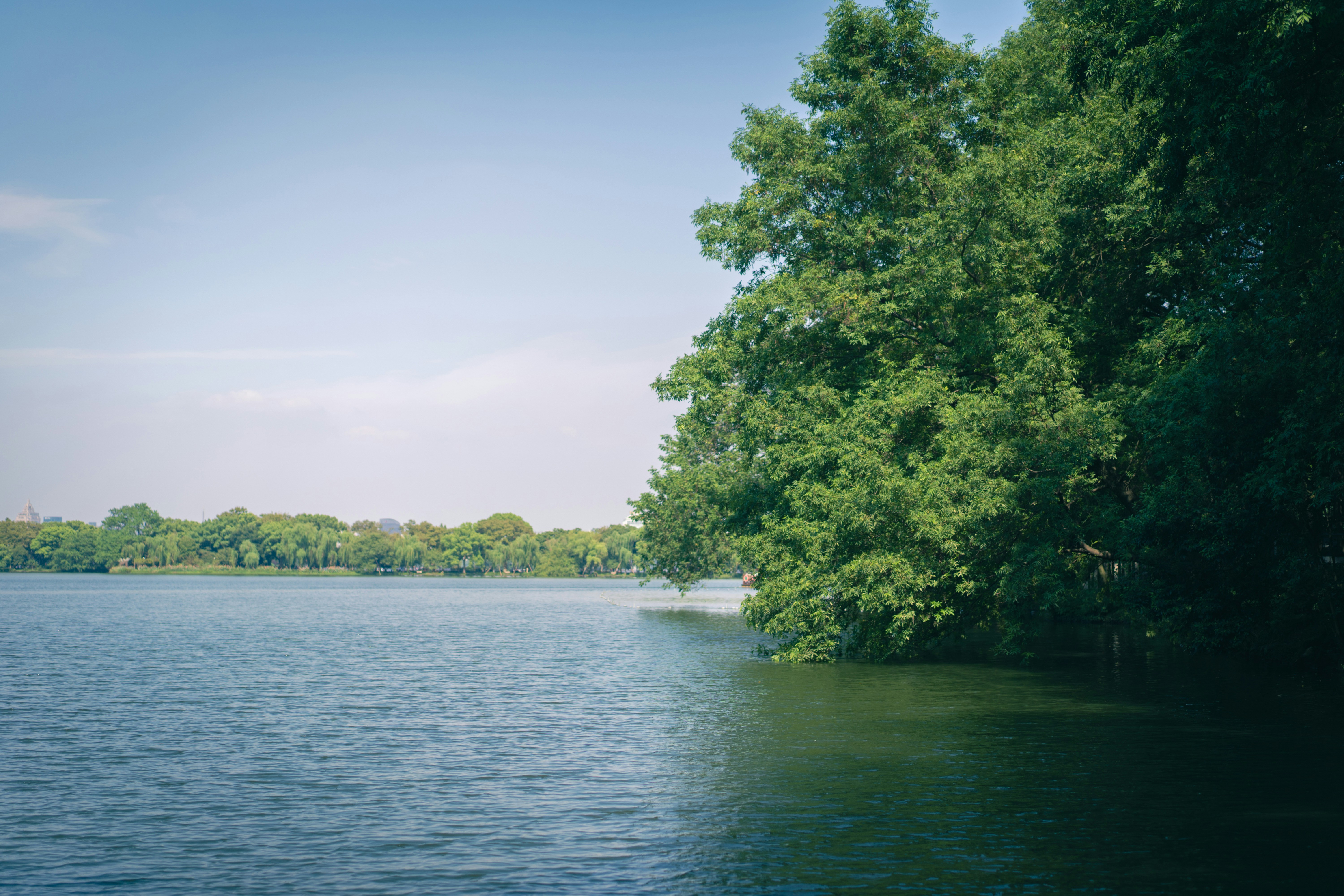 Photo by golden_orange