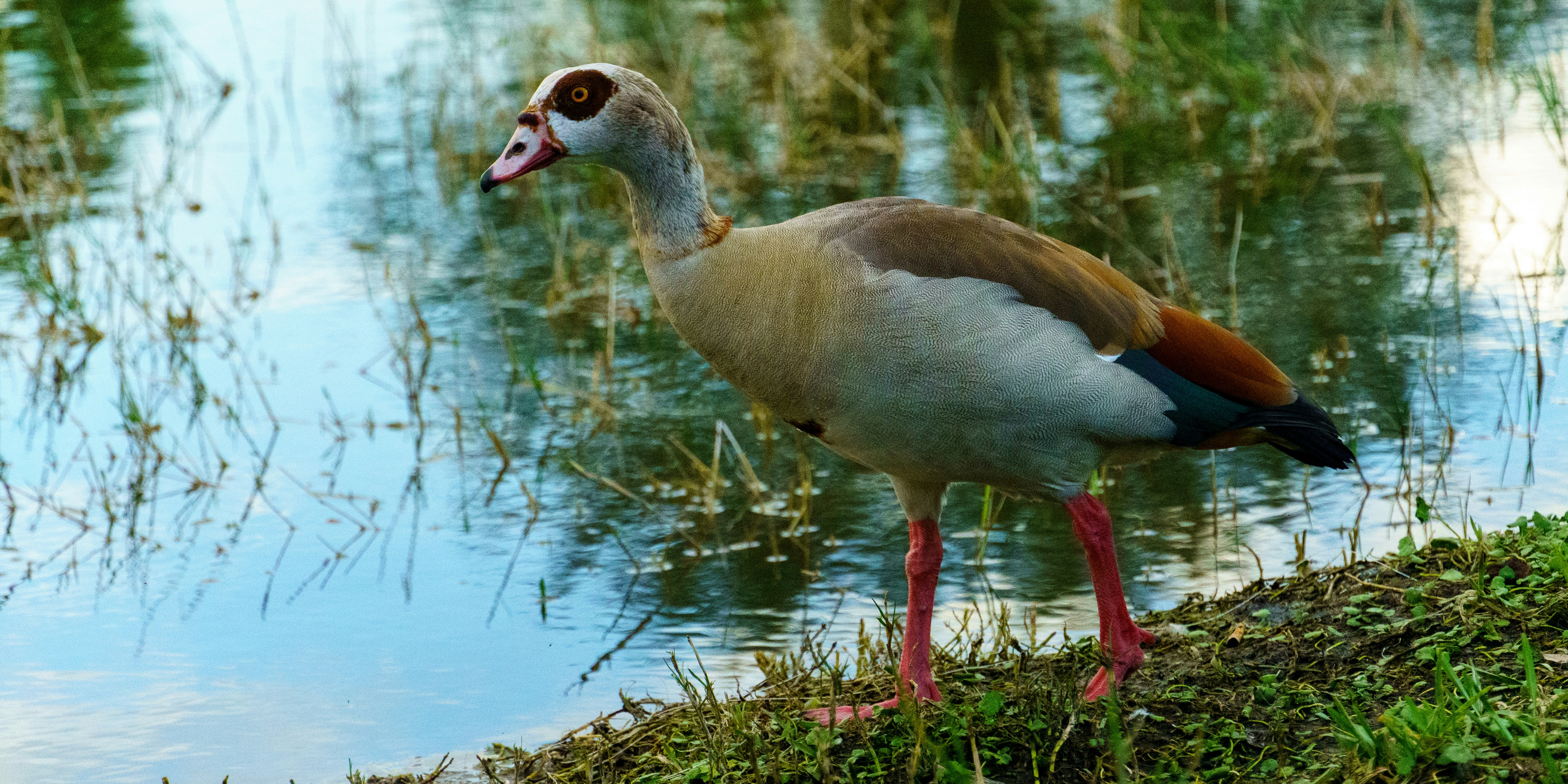 Photo by therandyeffect