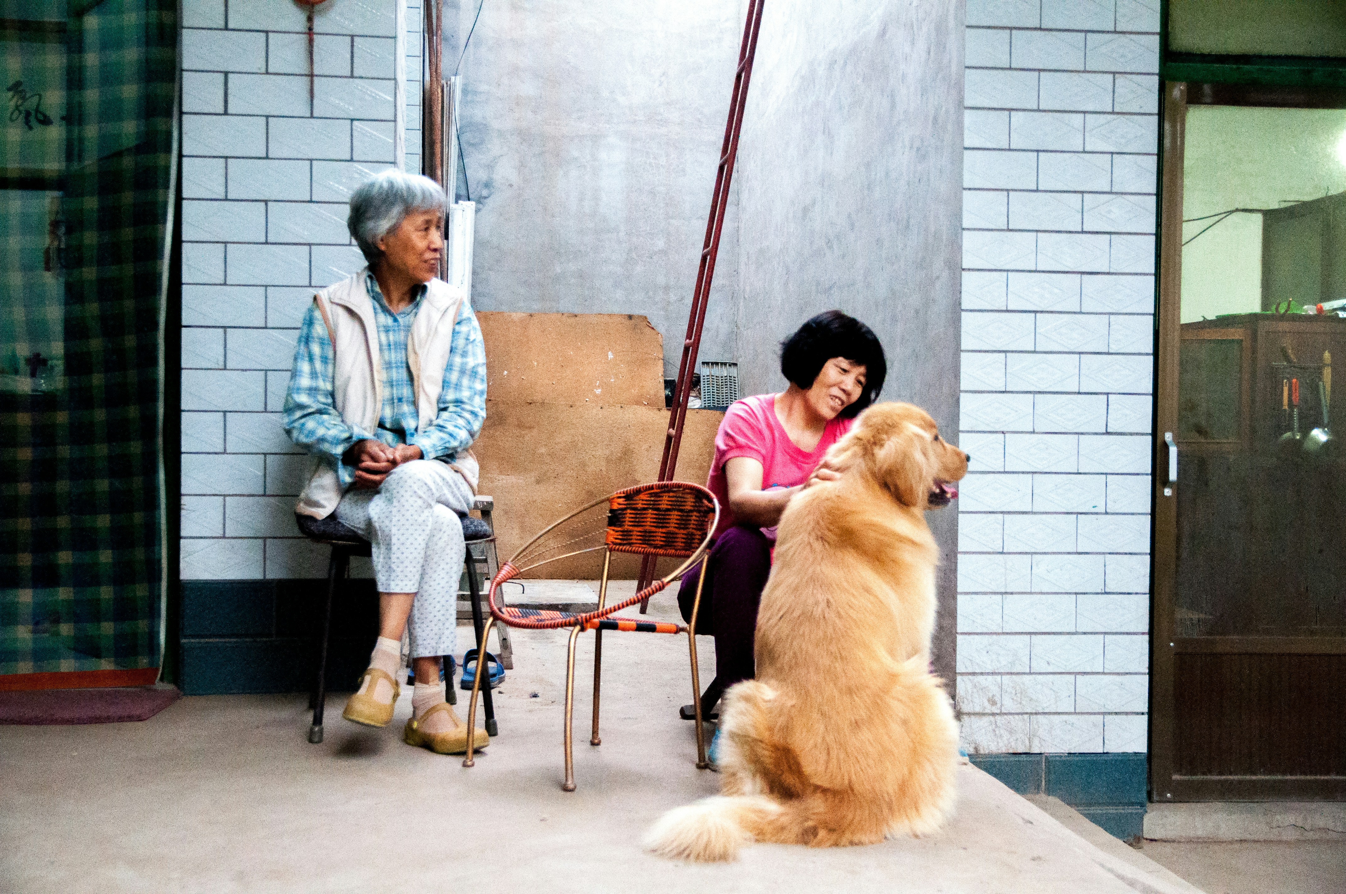 Two women and a golden retriever dog