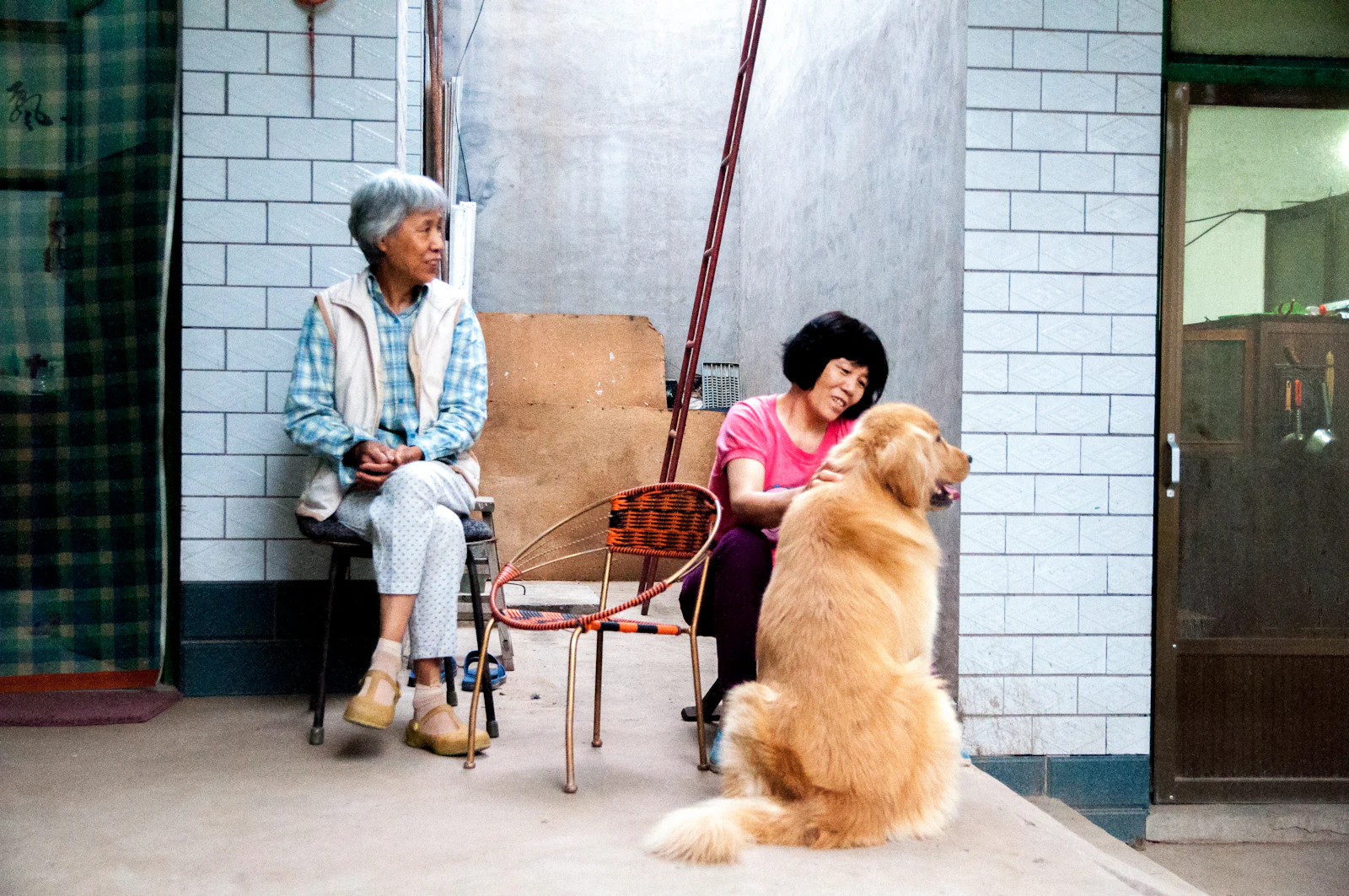 Dos mujeres acariciando a un golden retriever en un patio