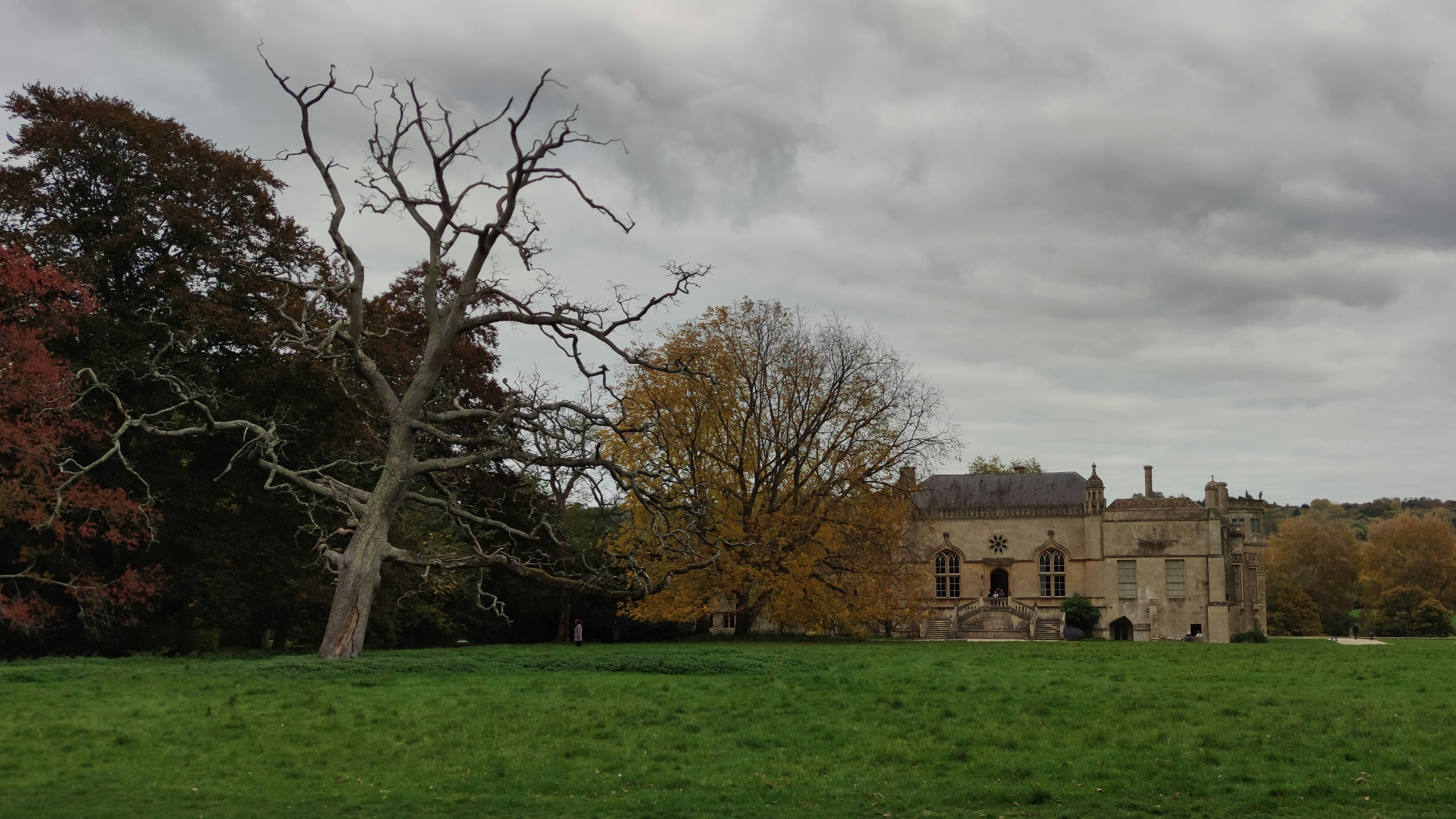 A grand building behind a bare tree in autumn.