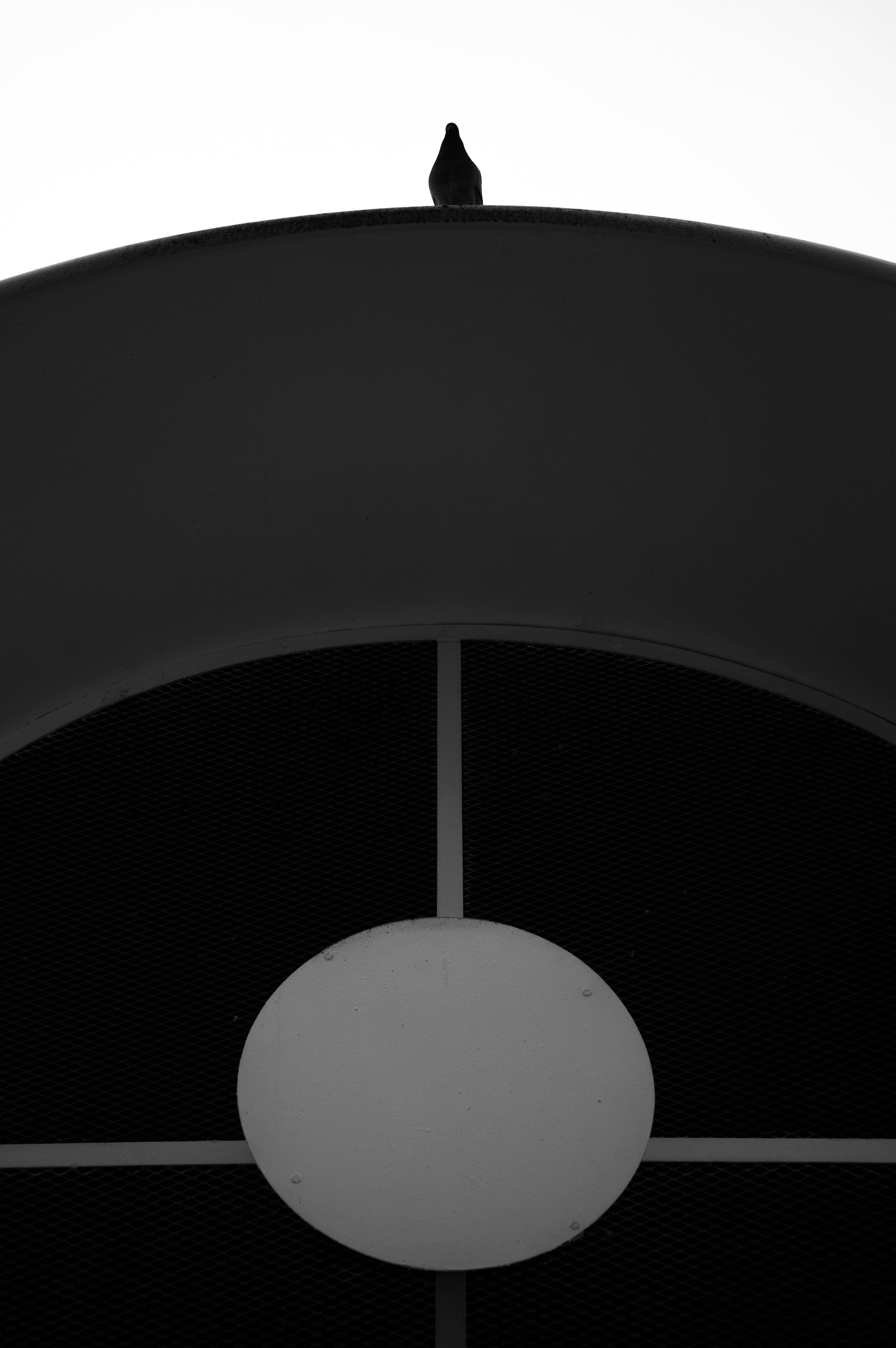 A lone bird perches atop a curved structure.