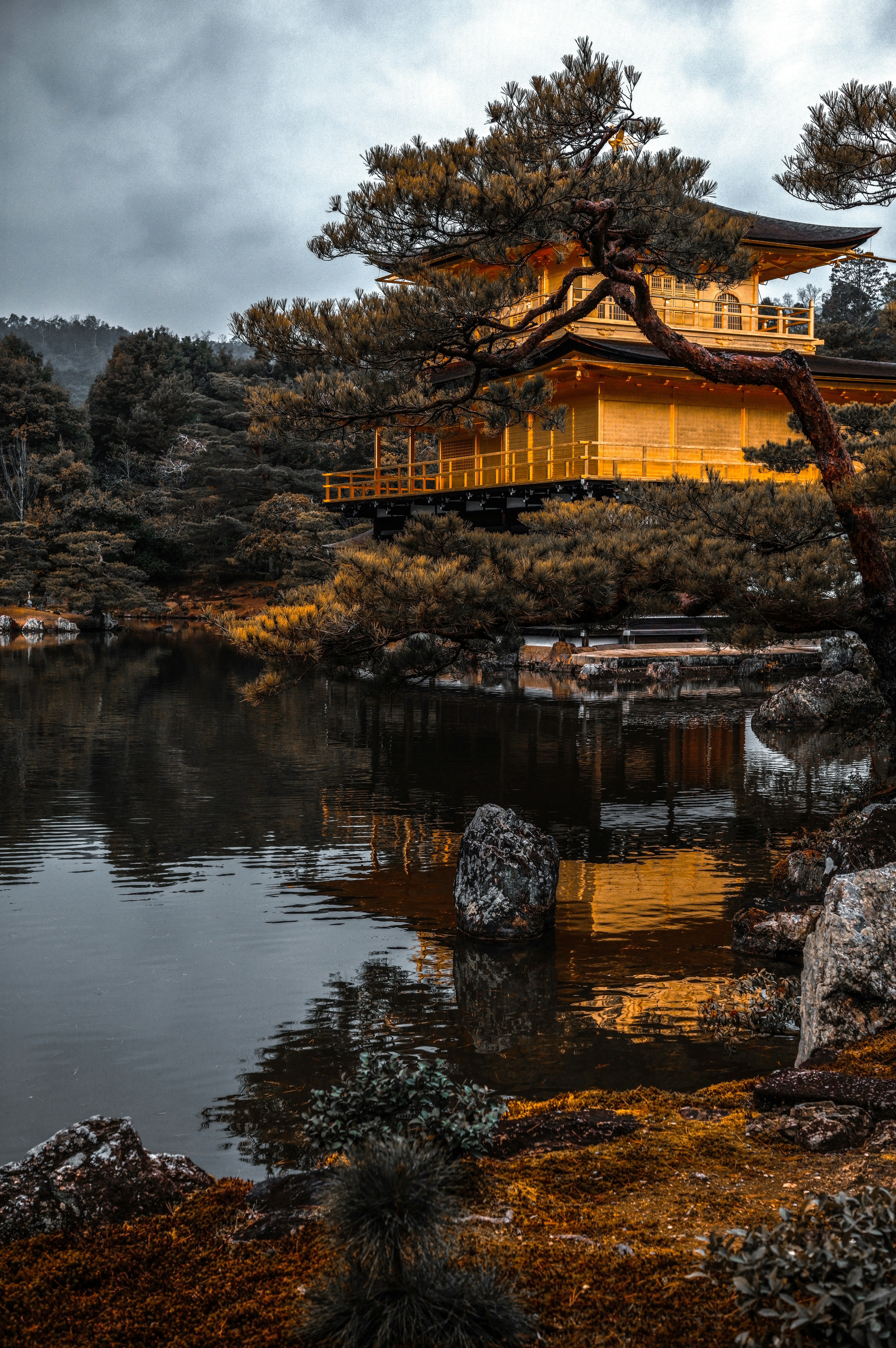 Golden pavilion temple reflected in tranquil water