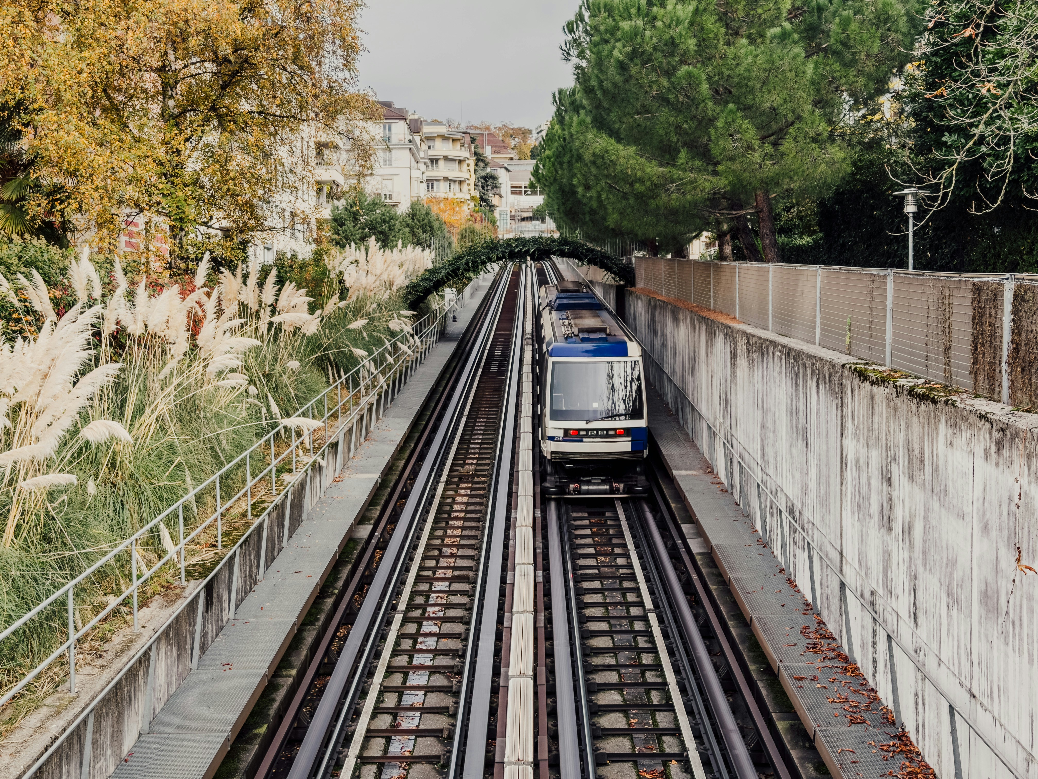 A train travels on tracks through a city.