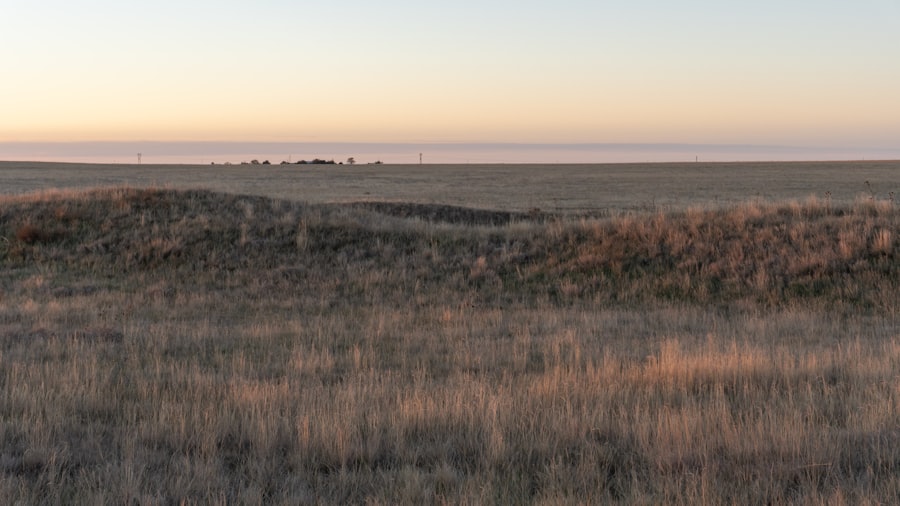 Dry grass field with rolling hills at sunset